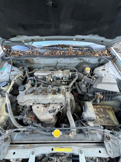 Seat Belt Front Passenger Side 2000 - 2006 Nissan Sentra