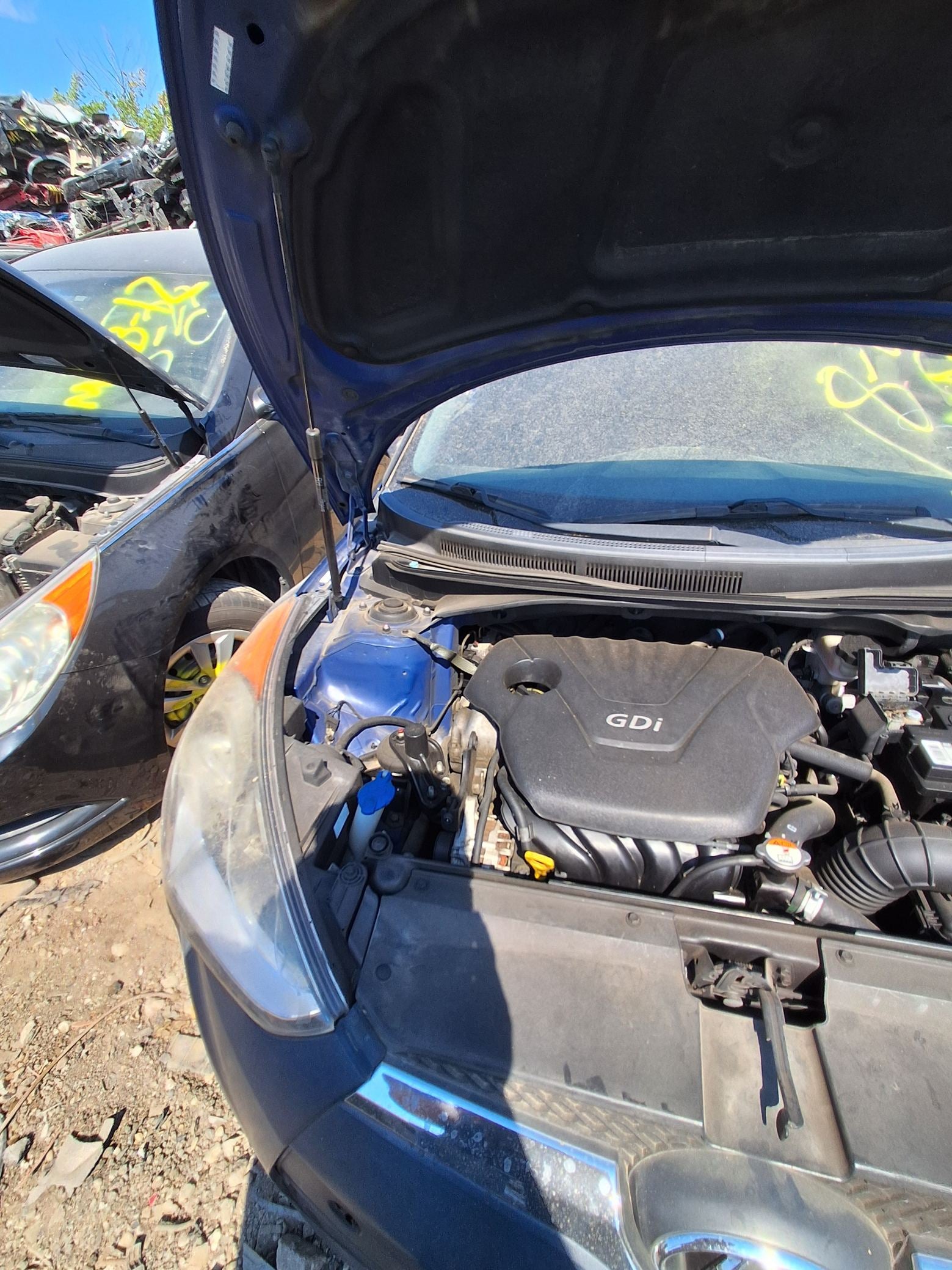 Bumper Cover Rear 2012 - 2017 Hyundai Veloster