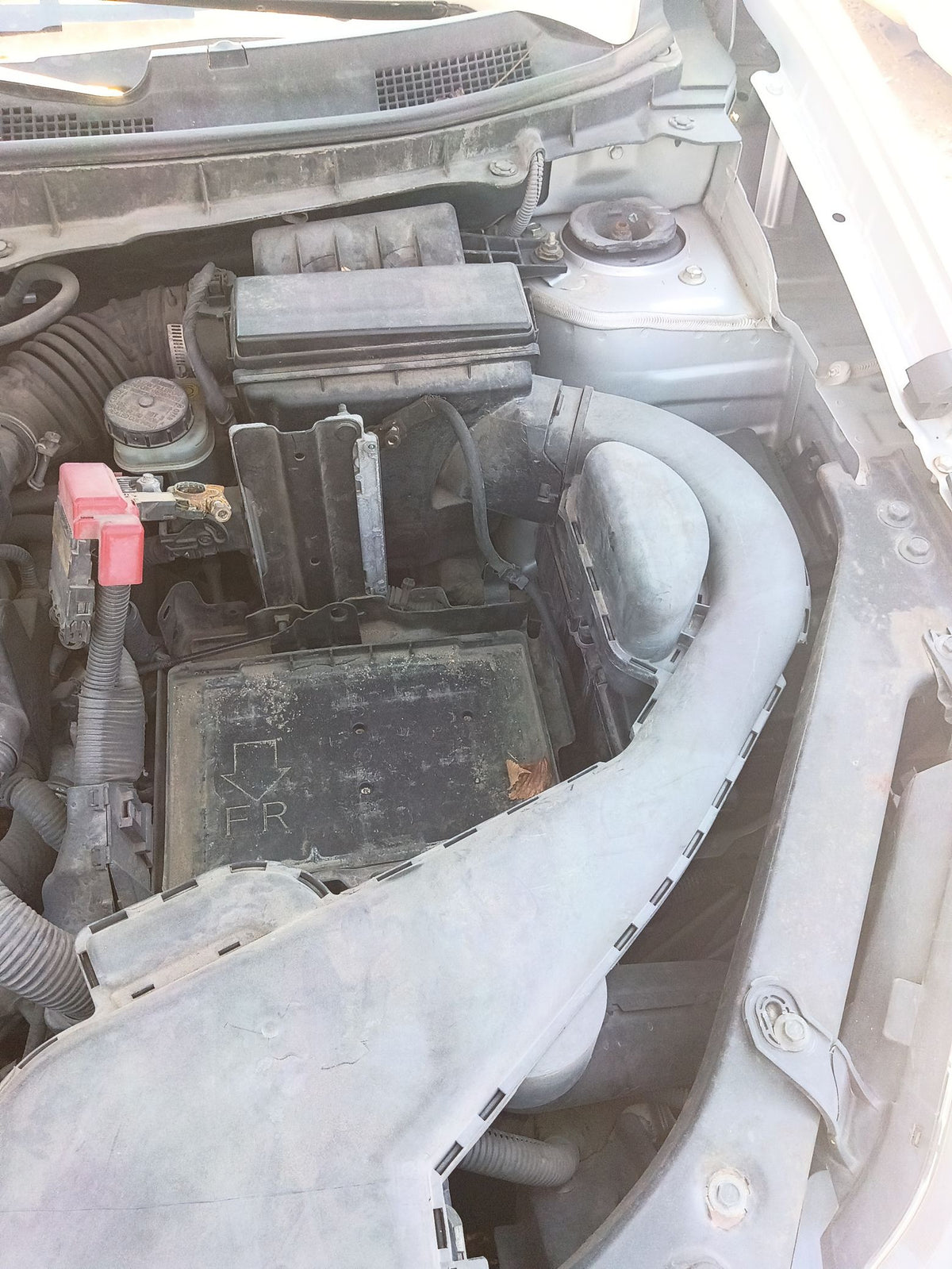 Seat Belt Second Row Driver Side 2014 - 2020 Nissan Rogue Select