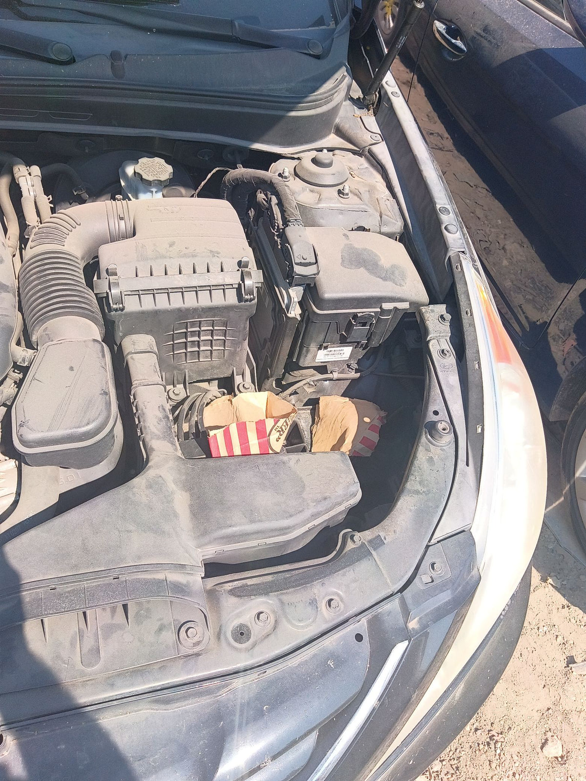 Seat Belt Rear Driver Side 2011 - 2014 Hyundai Sonata
