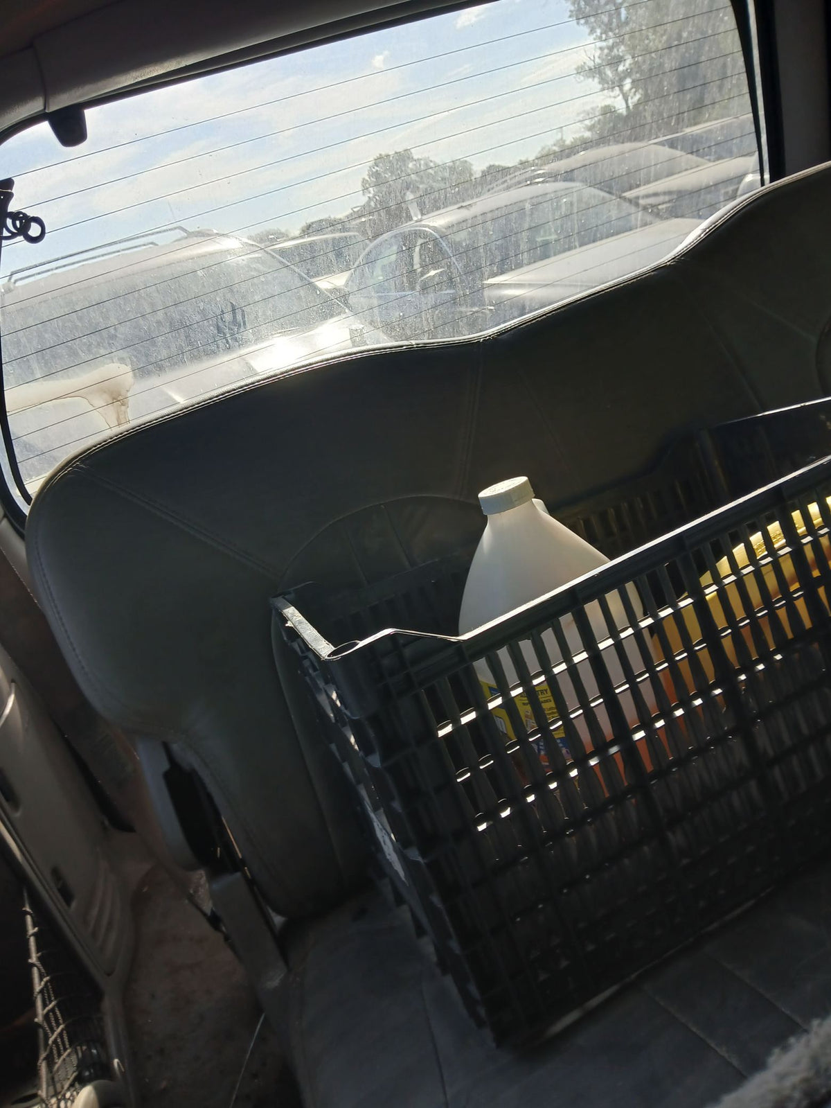 Radiator 1997 - 2002 Ford Expedition