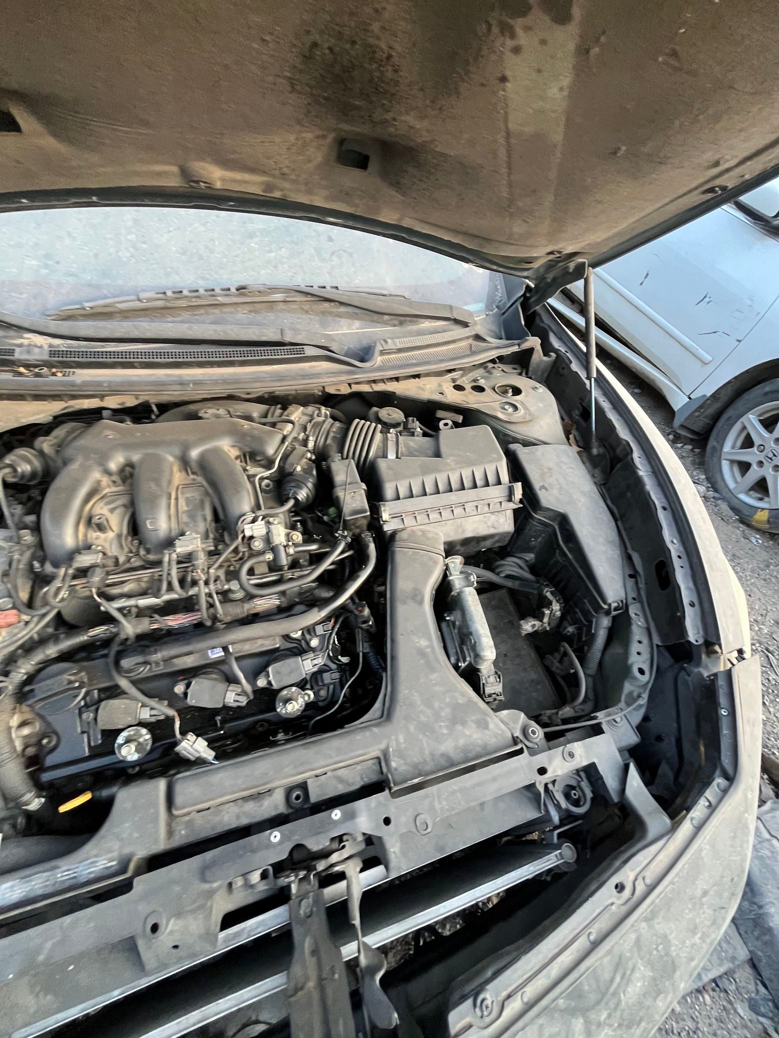Seat Belt Retractor Rear Passenger Side 2009 - 2014 Nissan Maxima