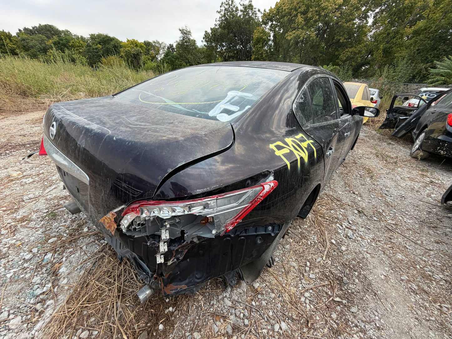 Window Motor Rear Driver Side 2009 - 2014 Nissan Maxima