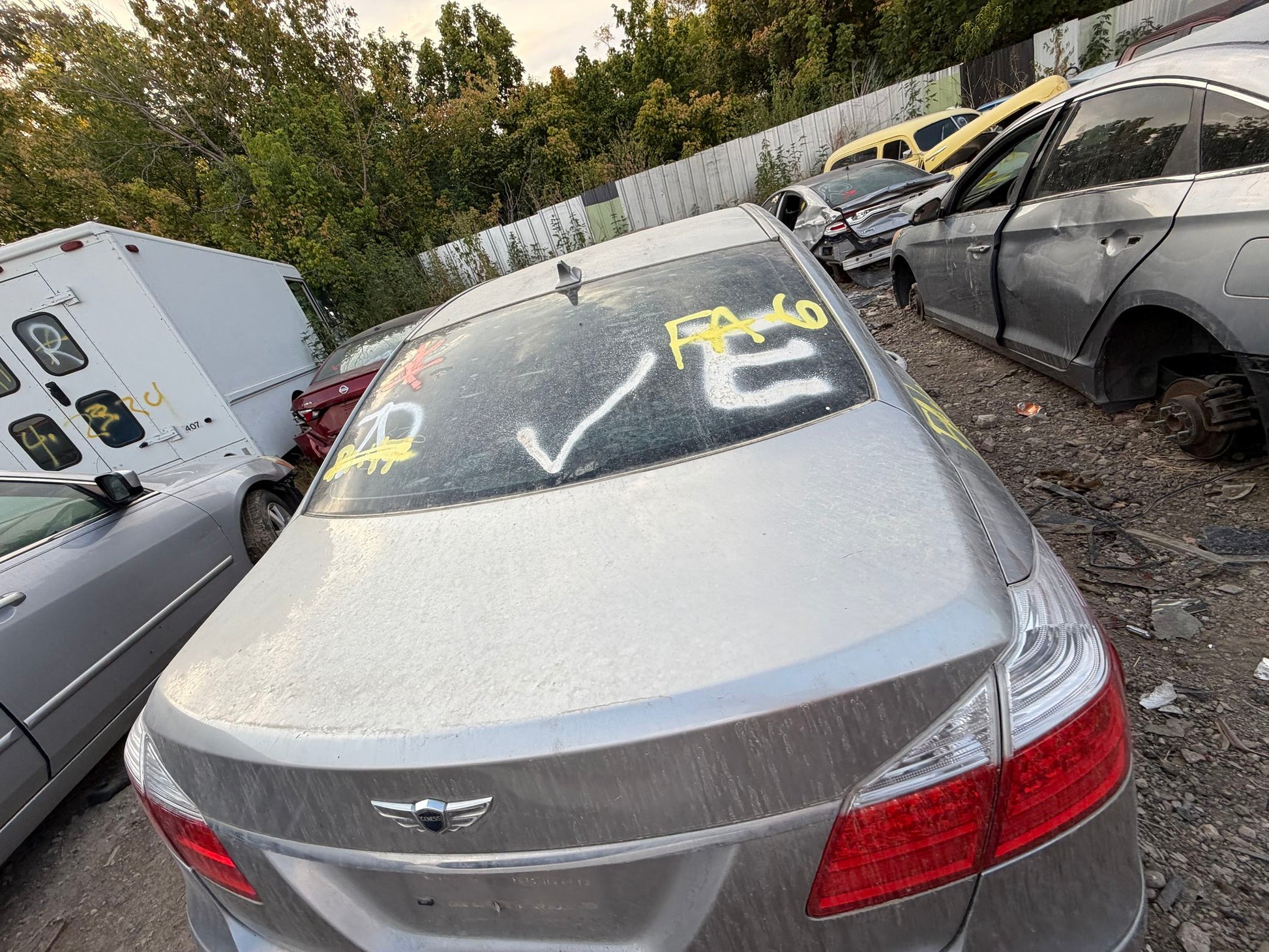 Window Motor Rear Passenger Side 2009 - 2014 Hyundai Genesis
