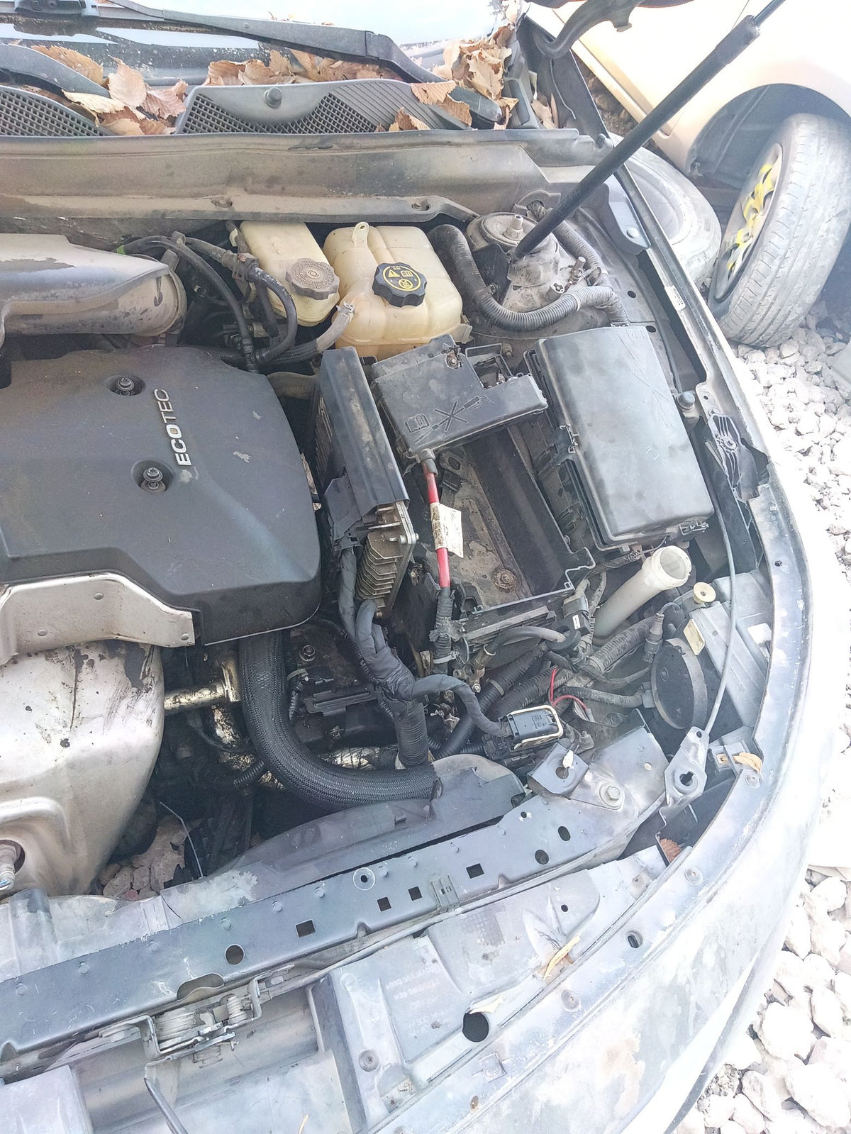 Windshield 2014 - 2020 Chevrolet Impala