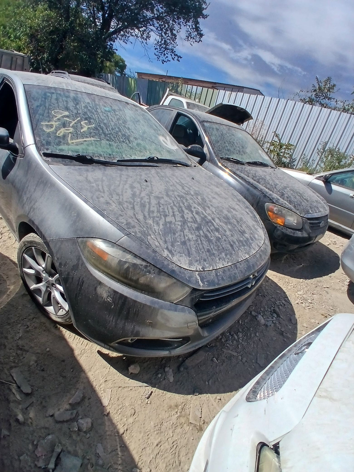 Quarter Window Glass Driver Side 2013 - 2016 Dodge Dart