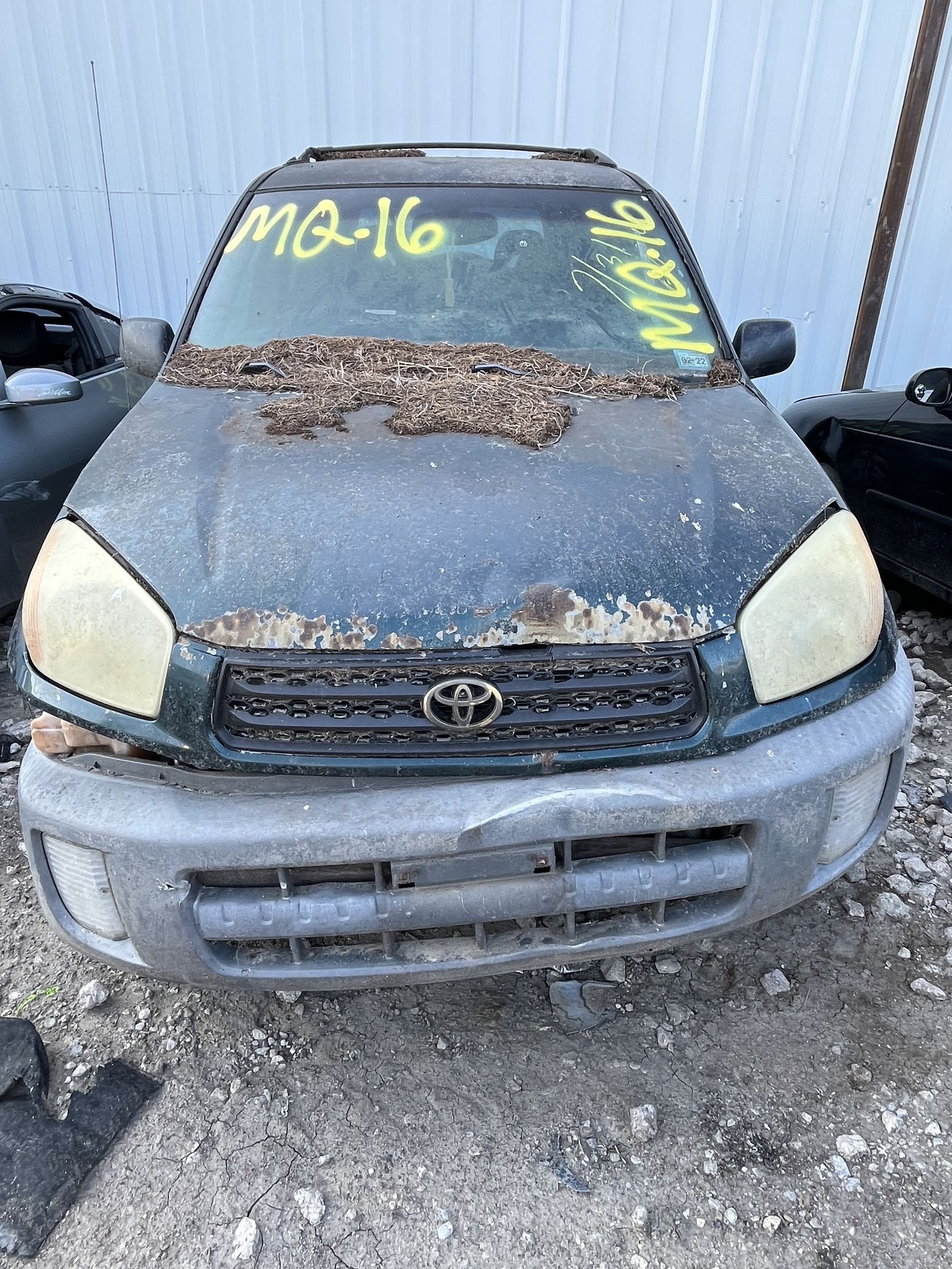 Window Regulator Front Passenger Side 2001 - 2005 Toyota RAV4