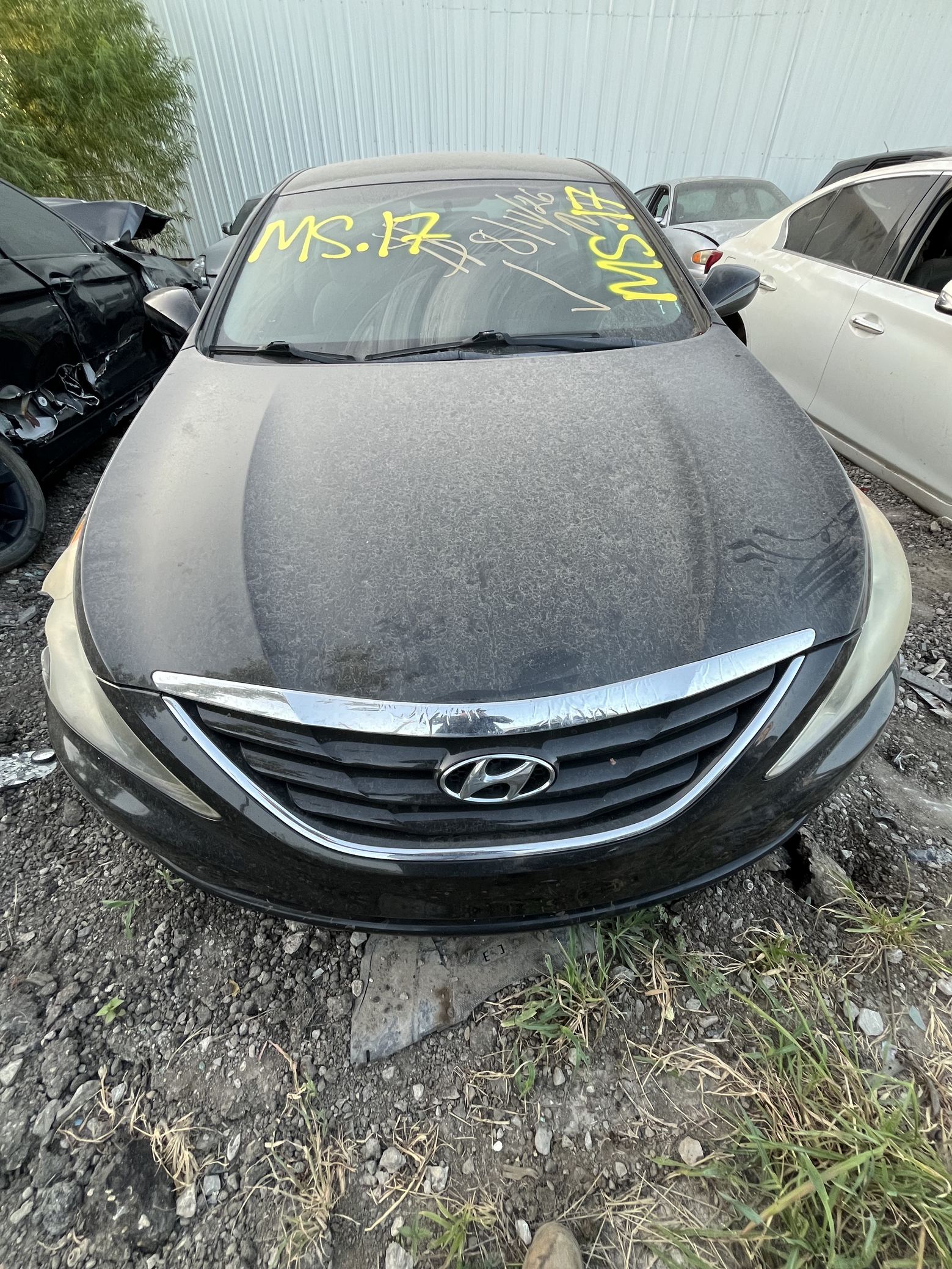 Fog Light Assembly Front Passenger Side 2011 - 2014 Hyundai Sonata
