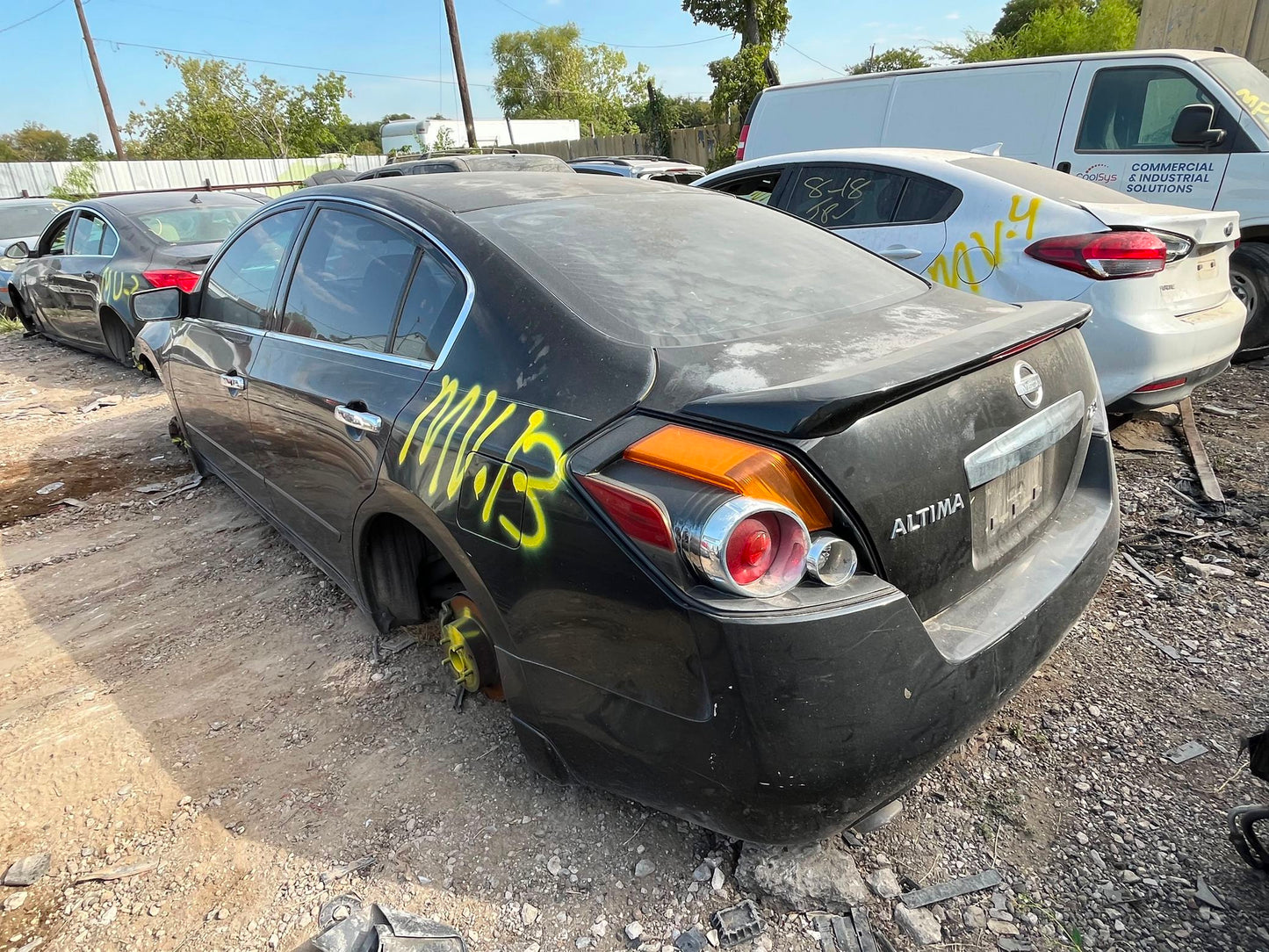 Seat Belt Front Driver Side 2007 - 2012 Nissan Altima