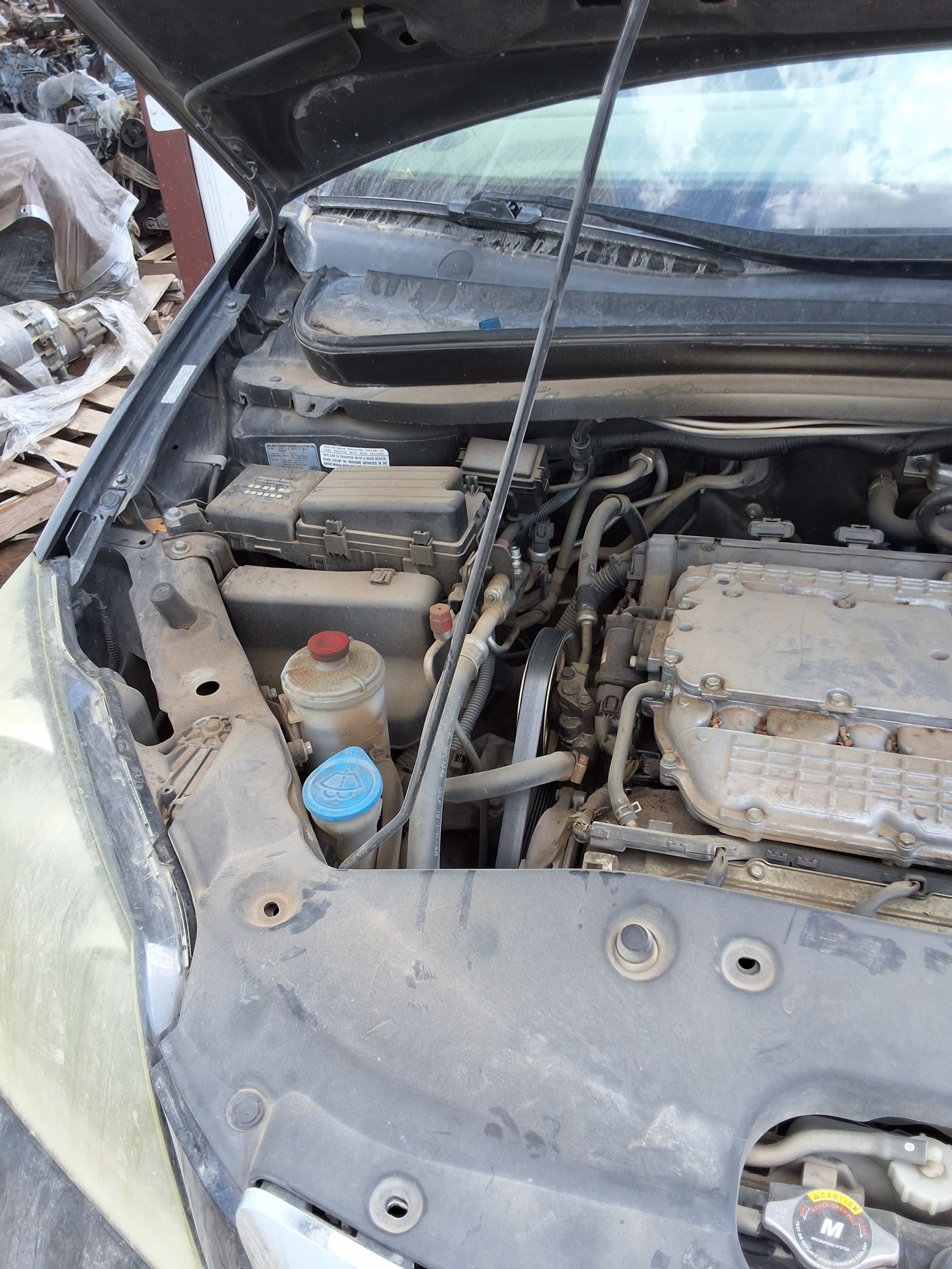 Steering Wheel 2005 - 2010 Honda Odyssey