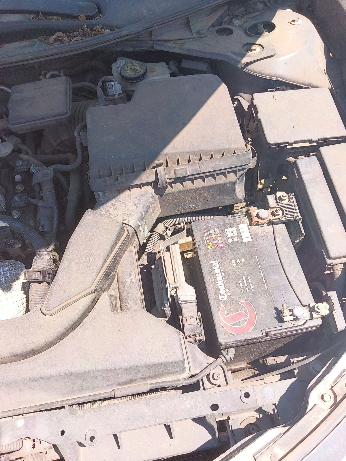 Window Motor Front Passenger Side 2013 - 2018 Nissan Altima