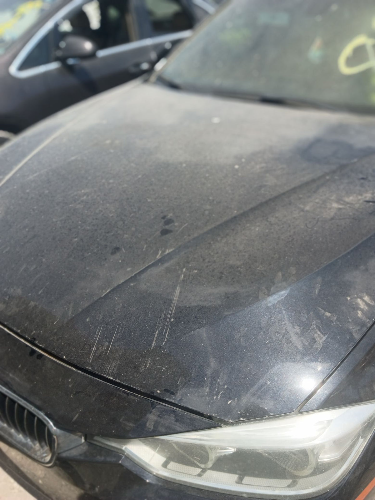 Door Window Glass Front Driver Side 2012 - 2018 BMW 3 Series
