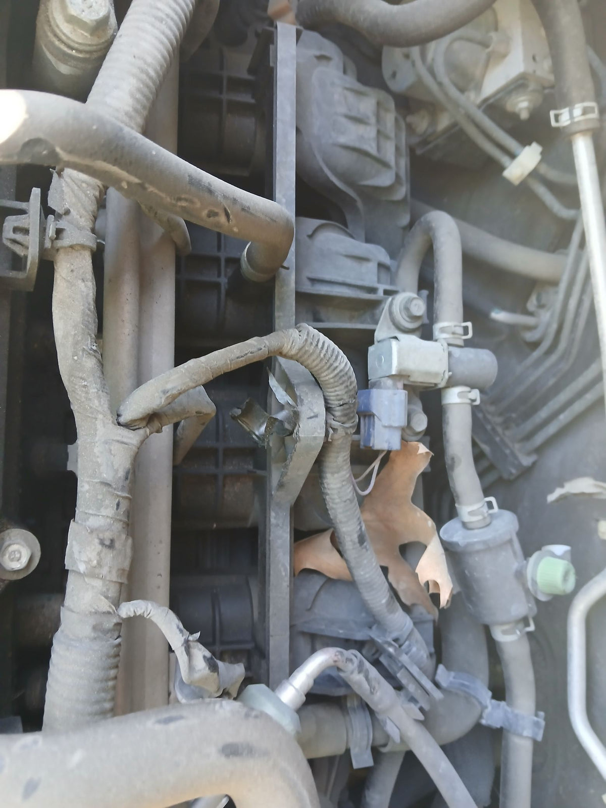 Body Wiring Harness Cabin 2013 - 2018 Nissan Altima