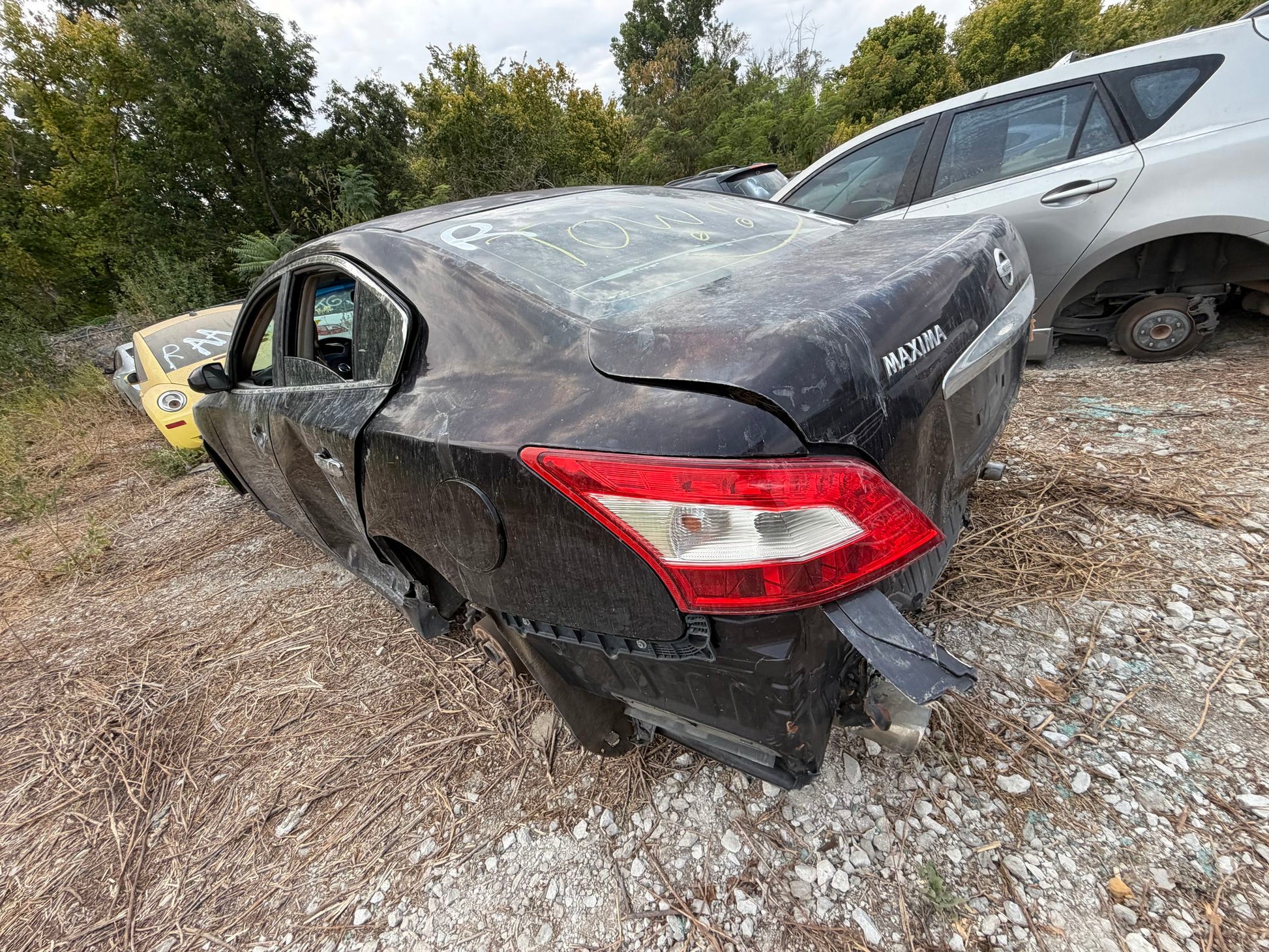 Seat Belt Buckle Rear Seat 2009 - 2014 Nissan Maxima