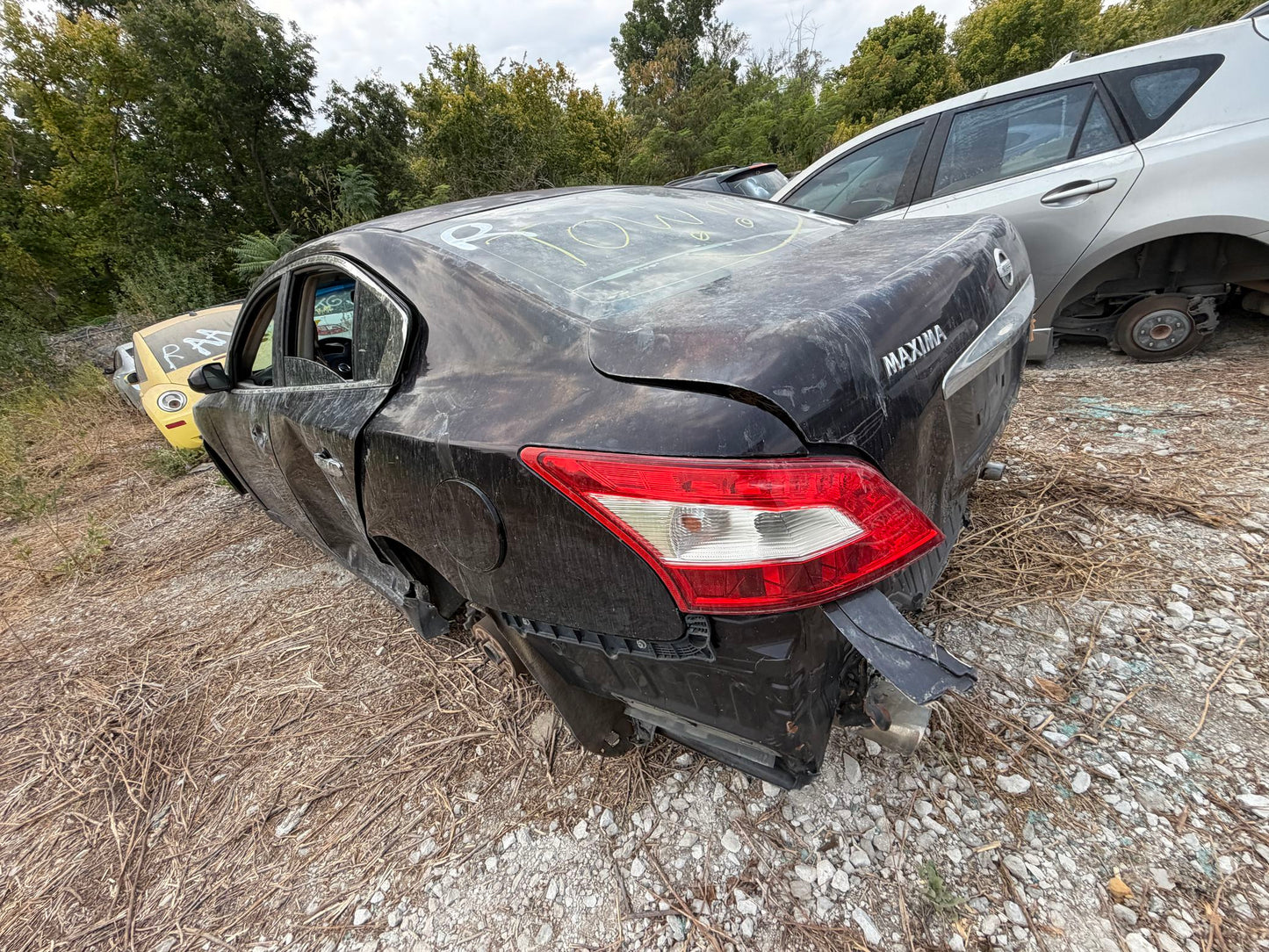 Front Seat Passenger Side 2009 - 2014 Nissan Maxima