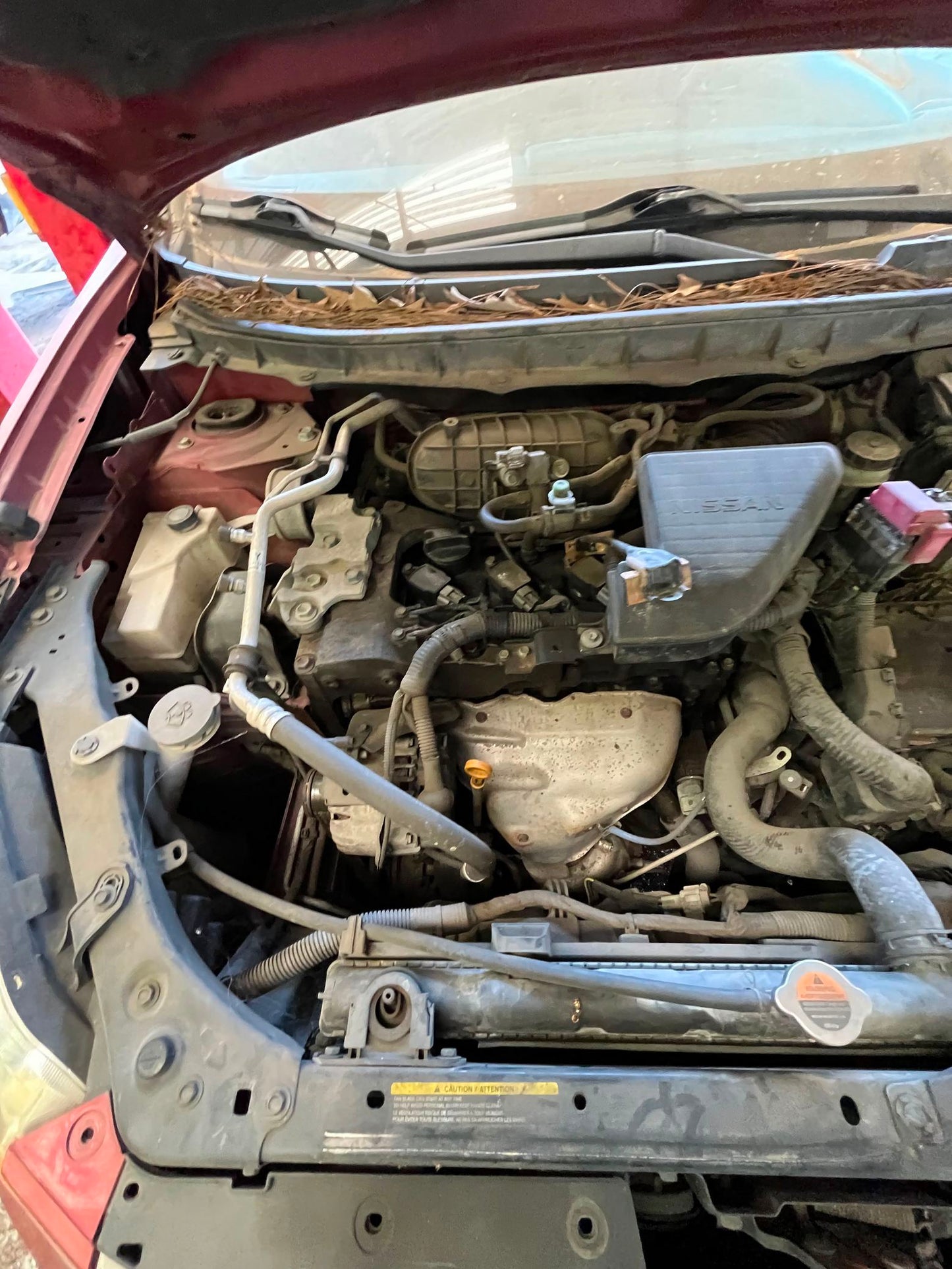 Window Regulator Front Driver Side 2008 - 2013 Nissan Rogue