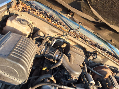 Fender Front Passenger Side 1995 - 1999 Chevrolet Tahoe