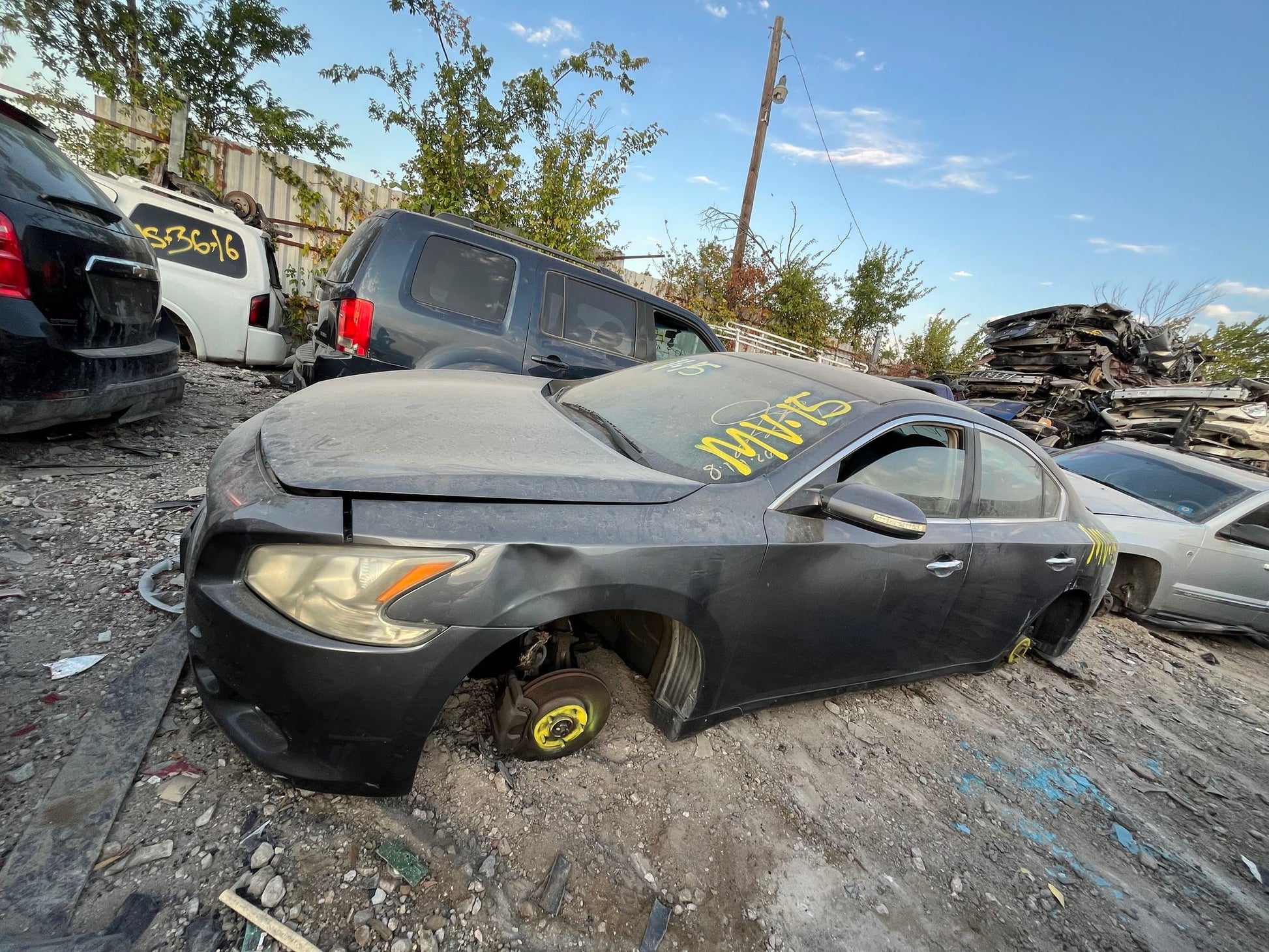 Window Regulator Front Driver Side 2009 - 2014 Nissan Maxima