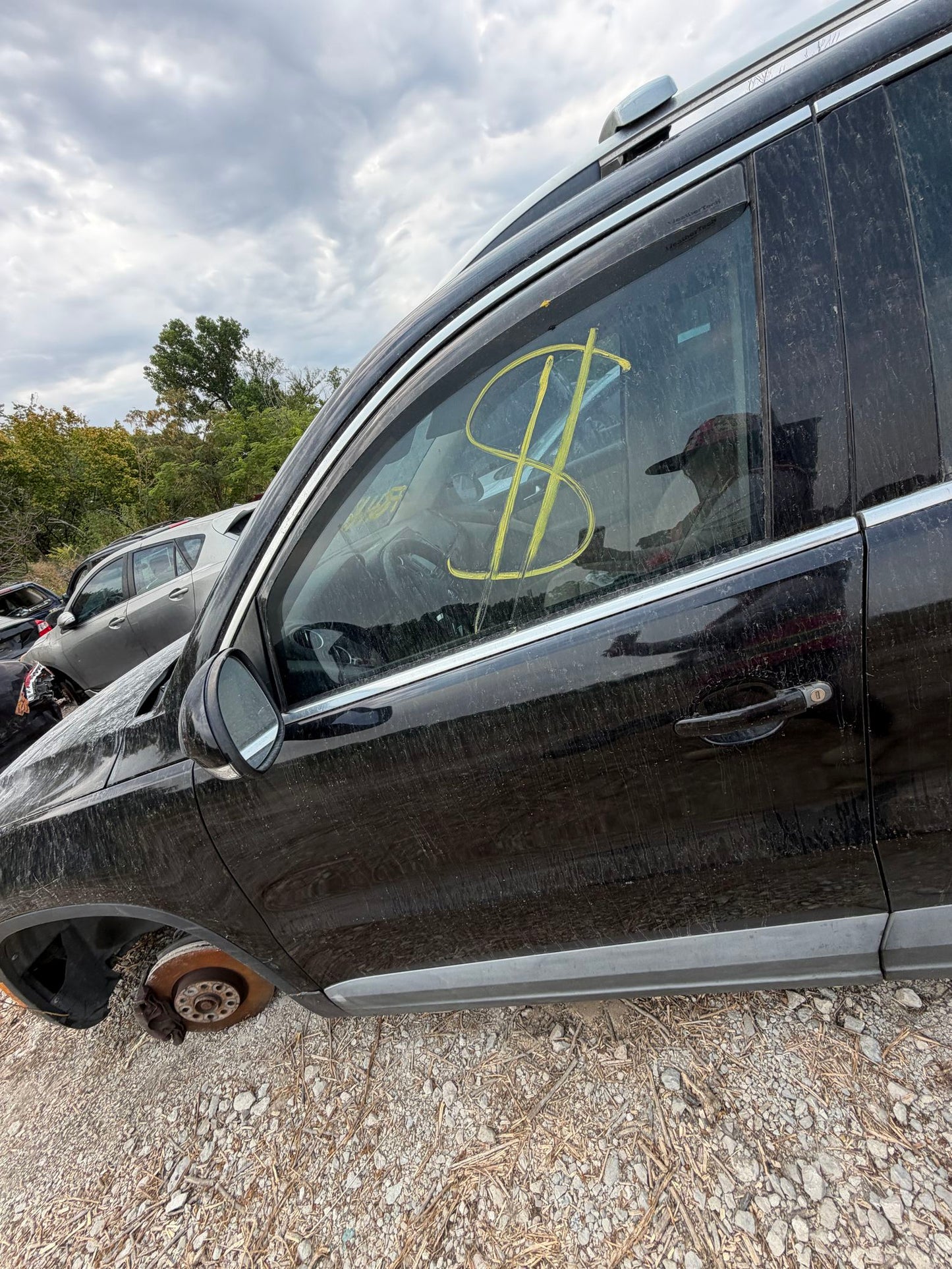 Door Window Glass Front Driver Side 2009 - 2017 Volkswagen Tiguan