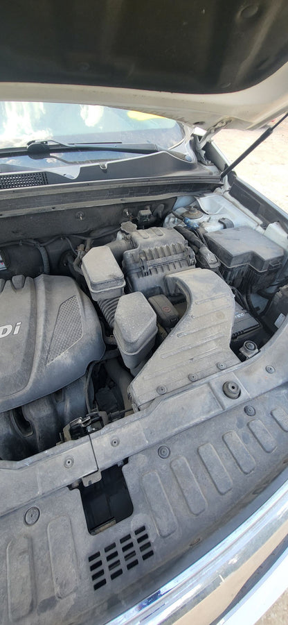 Seat Belt Front Passenger Side 2011 - 2015 Kia Sorento