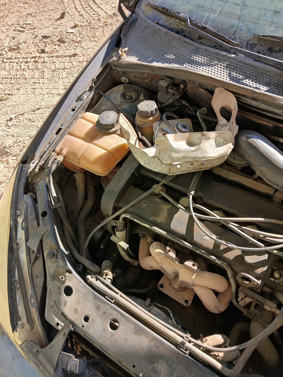 Strut Front Passenger Side 2000 - 2007 Ford Focus