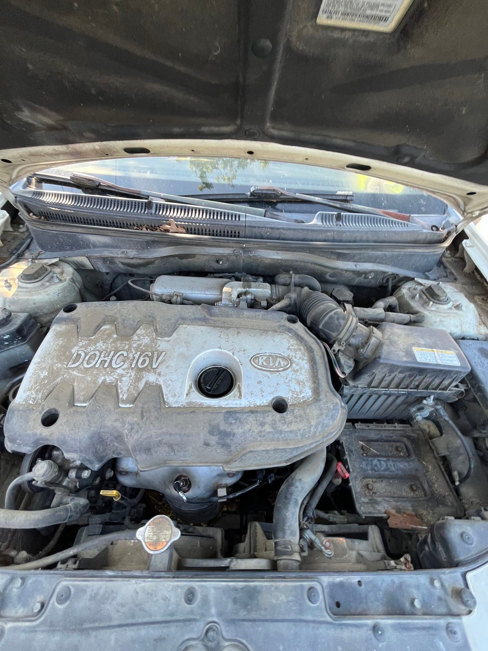 Blower Motor 2006 - 2011 Kia Rio