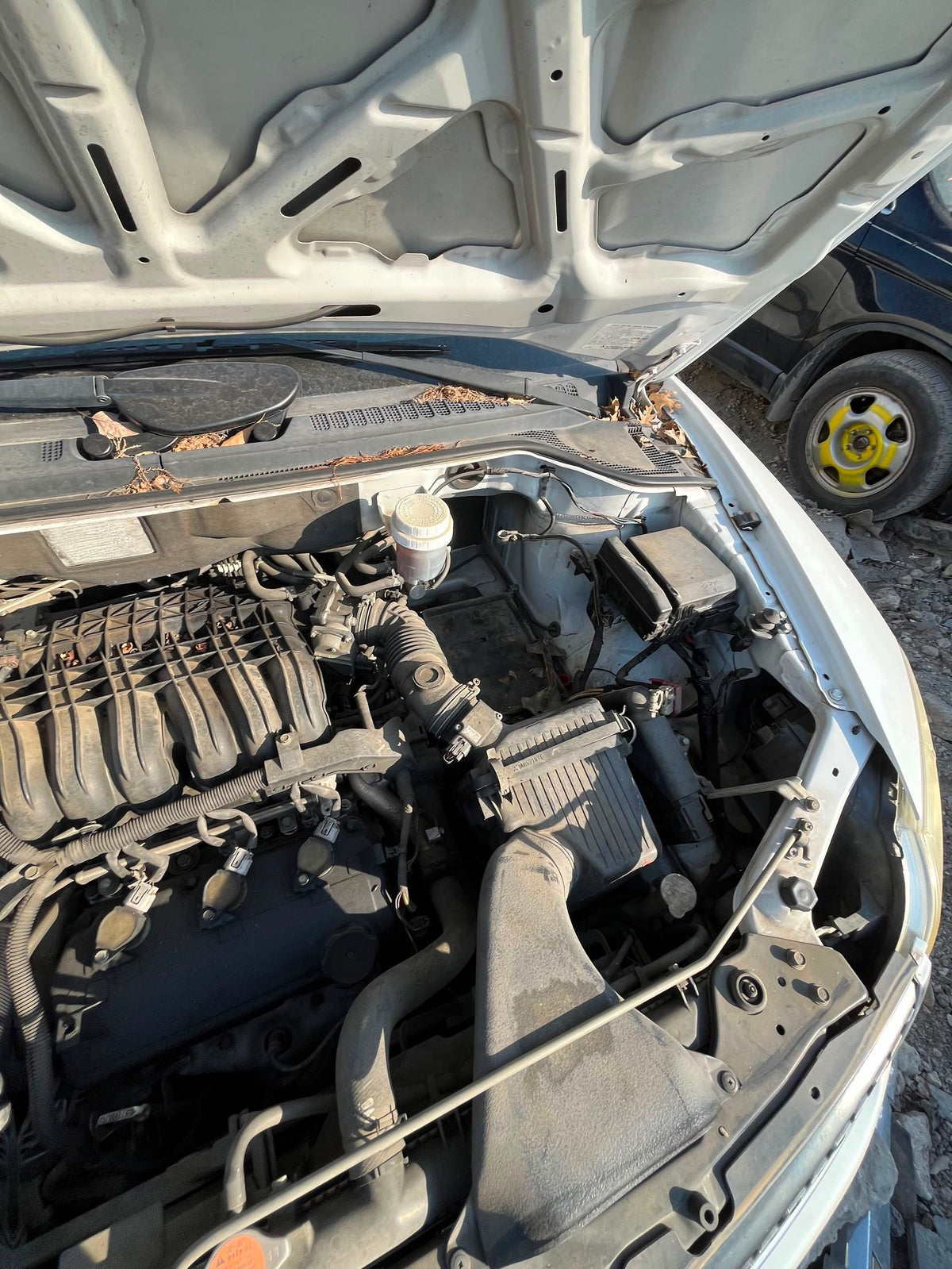 Door Interior Handle Rear Passenger Side 2010 - 2011 Mitsubishi Endeavor