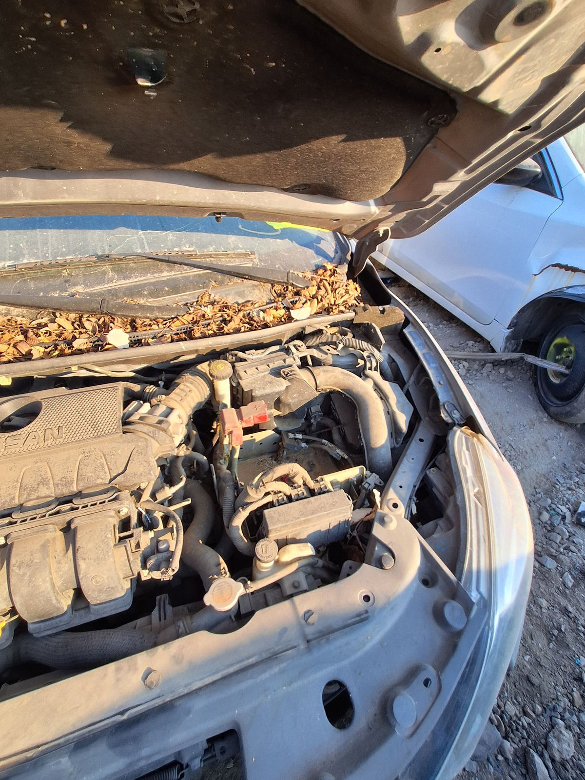 Brake Caliper Front Driver Side 2013 - 2019 Nissan Sentra