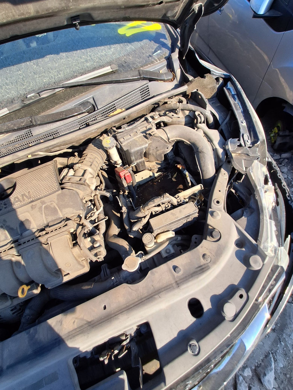 Door Window Switch Master Driver Side 2013 - 2019 Nissan Sentra