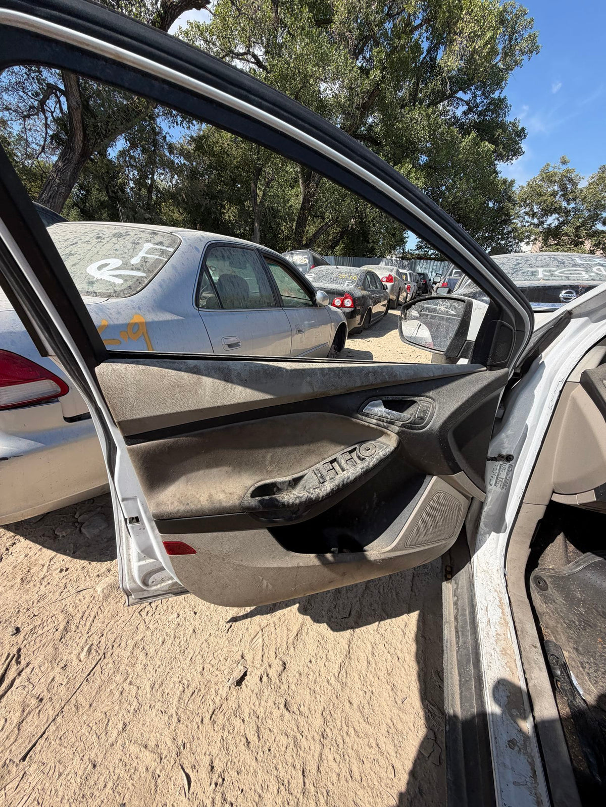 Door Window Glass Front Driver Side 2012 - 2018 Ford Focus