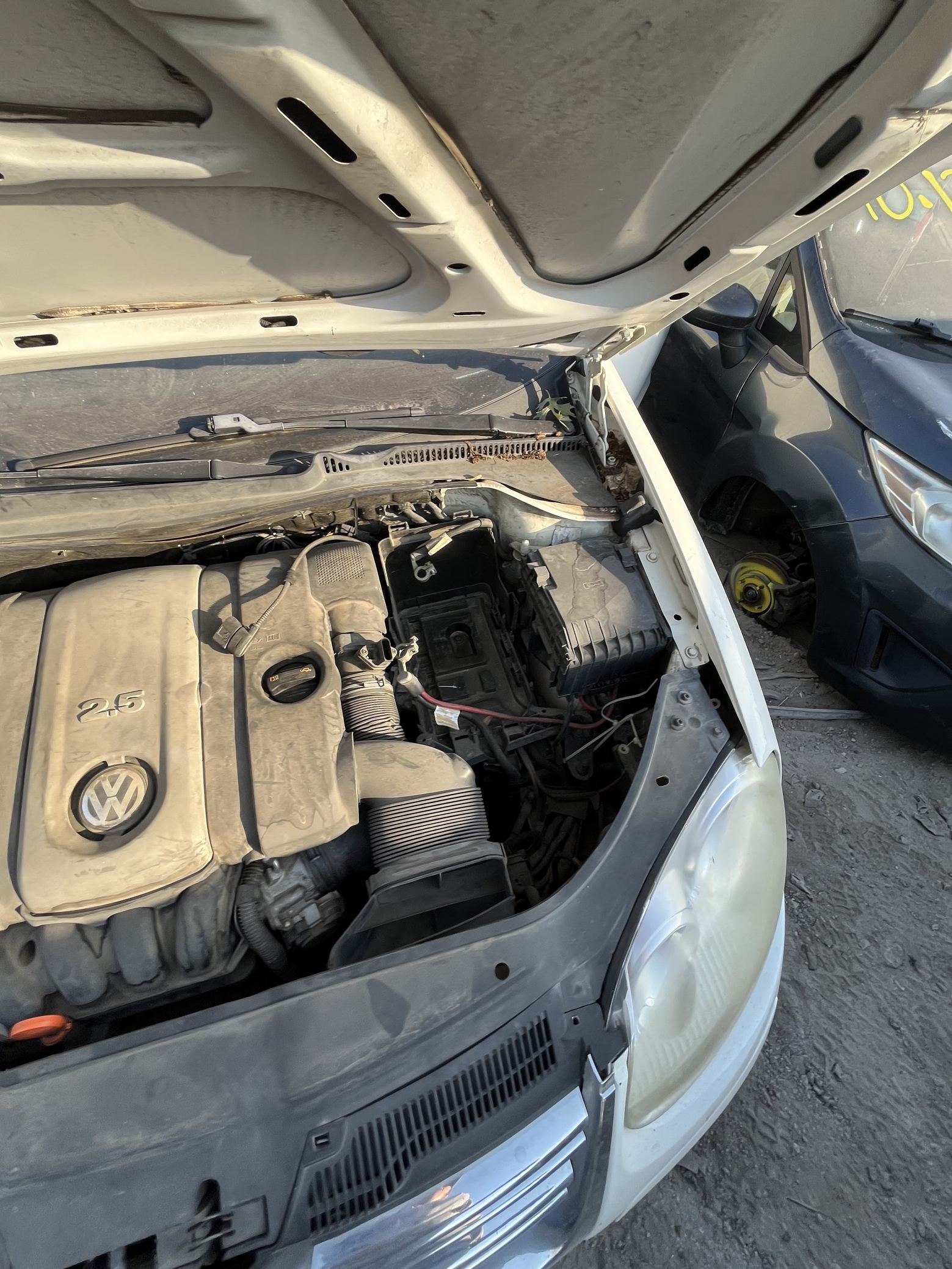 Door Window Glass Front Passenger Side 2006 - 2010 Volkswagen Jetta