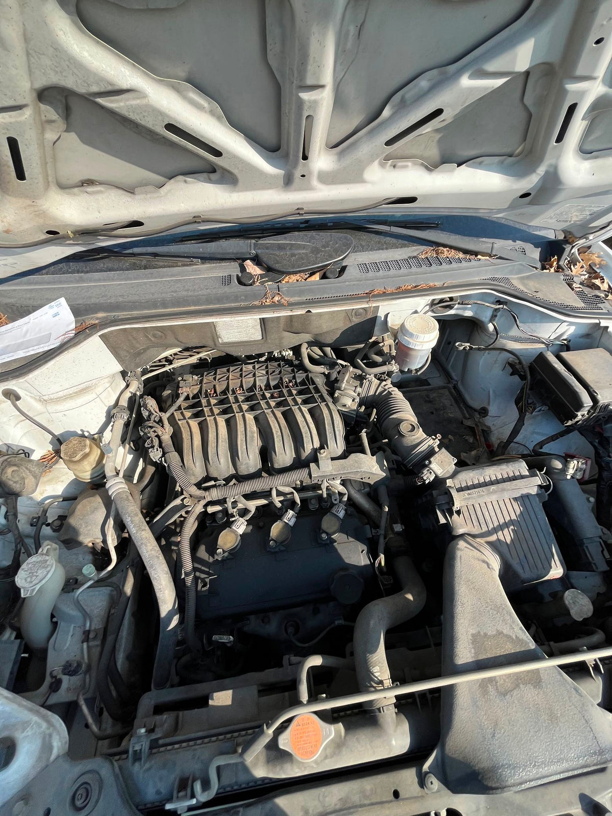 Wheel Hub Bearing Front Driver Side 2010 - 2011 Mitsubishi Endeavor