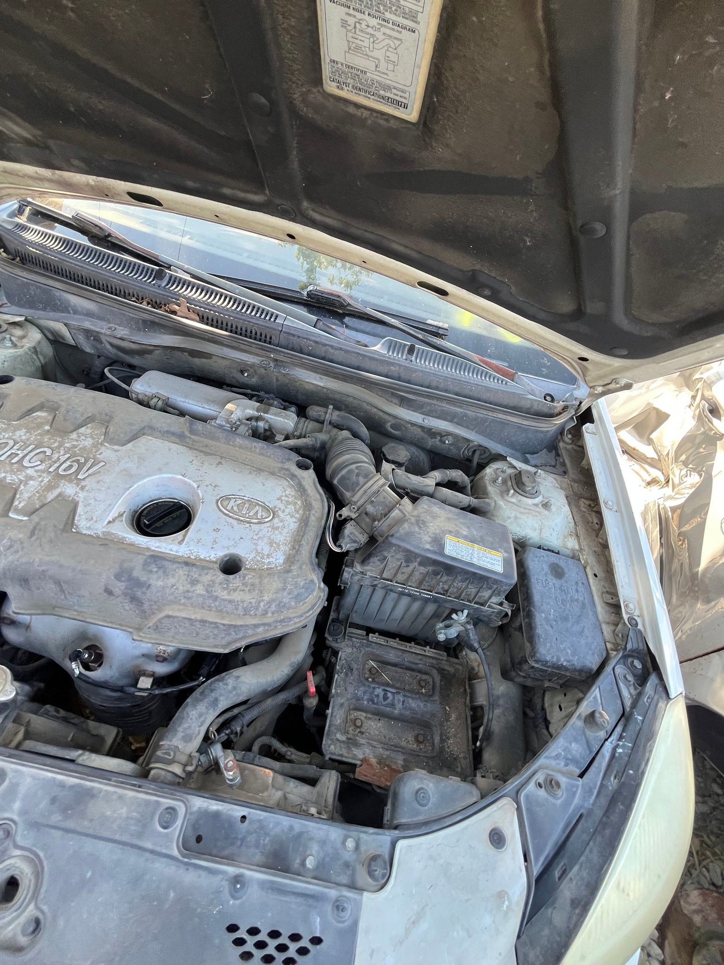 Alternator 2006 - 2011 Kia Rio