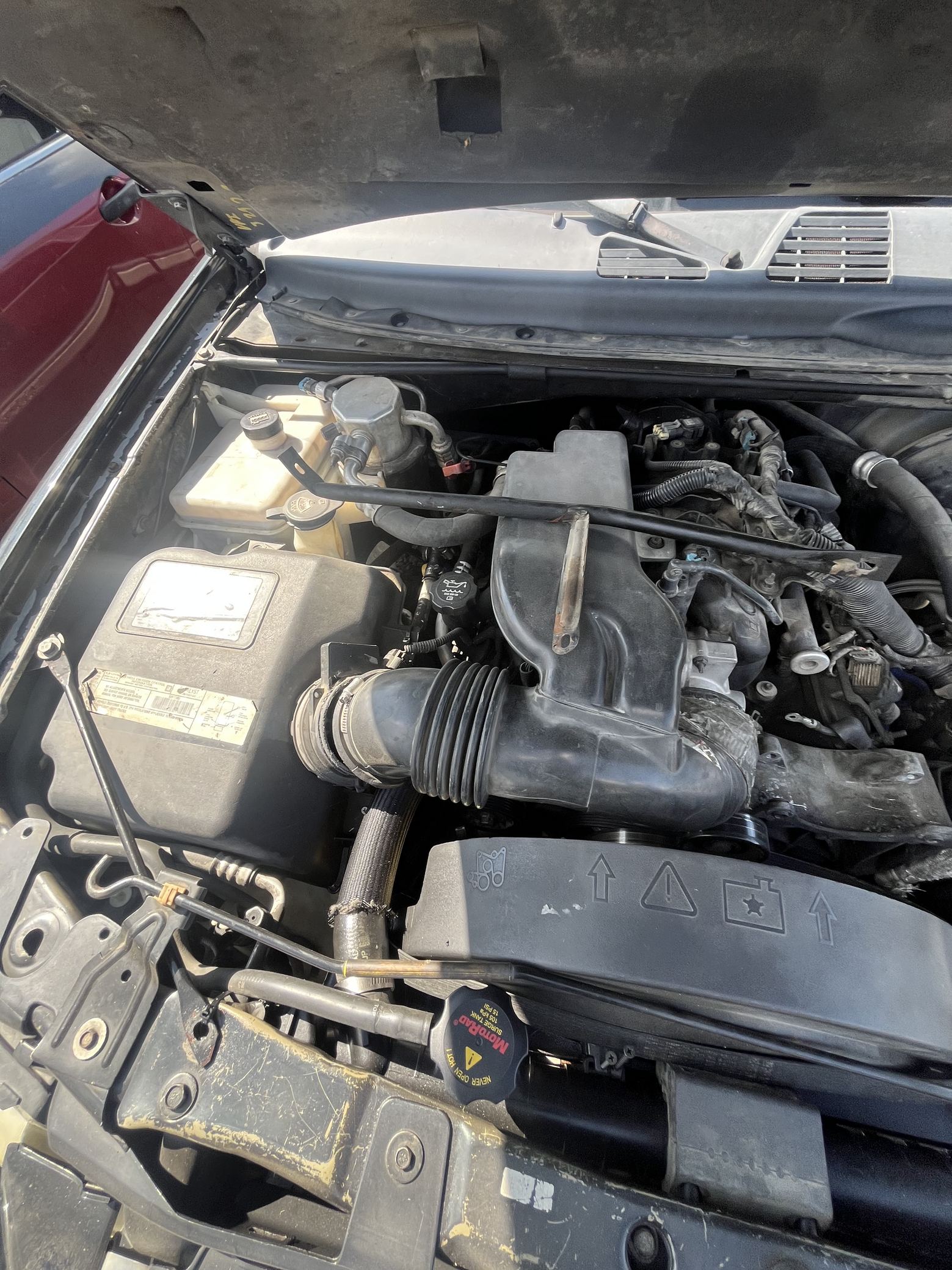 Door Window Glass Rear Driver Side 2002 - 2006 GMC Envoy XL