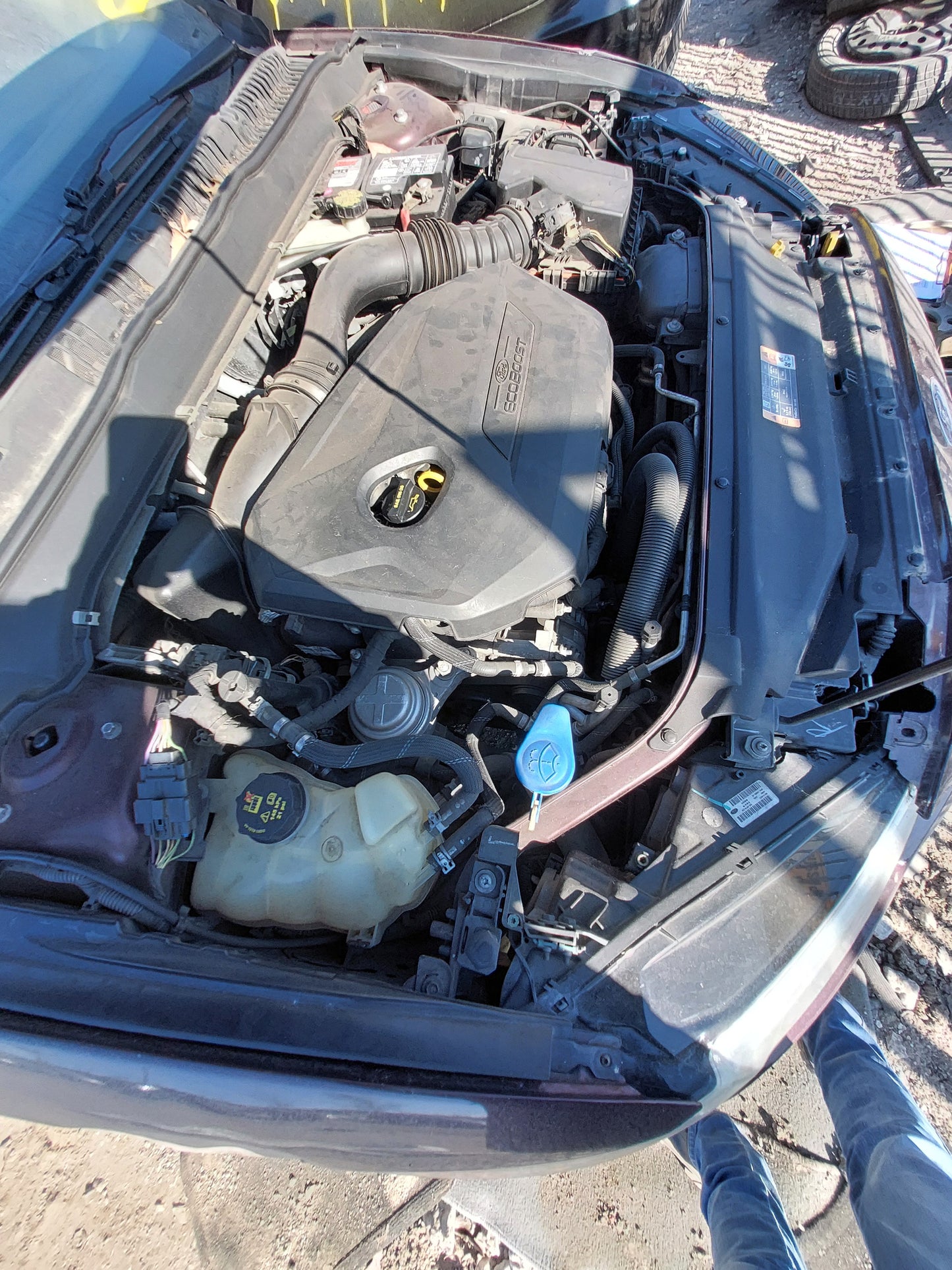 2013 FORD FUSION - STOCK # M18177