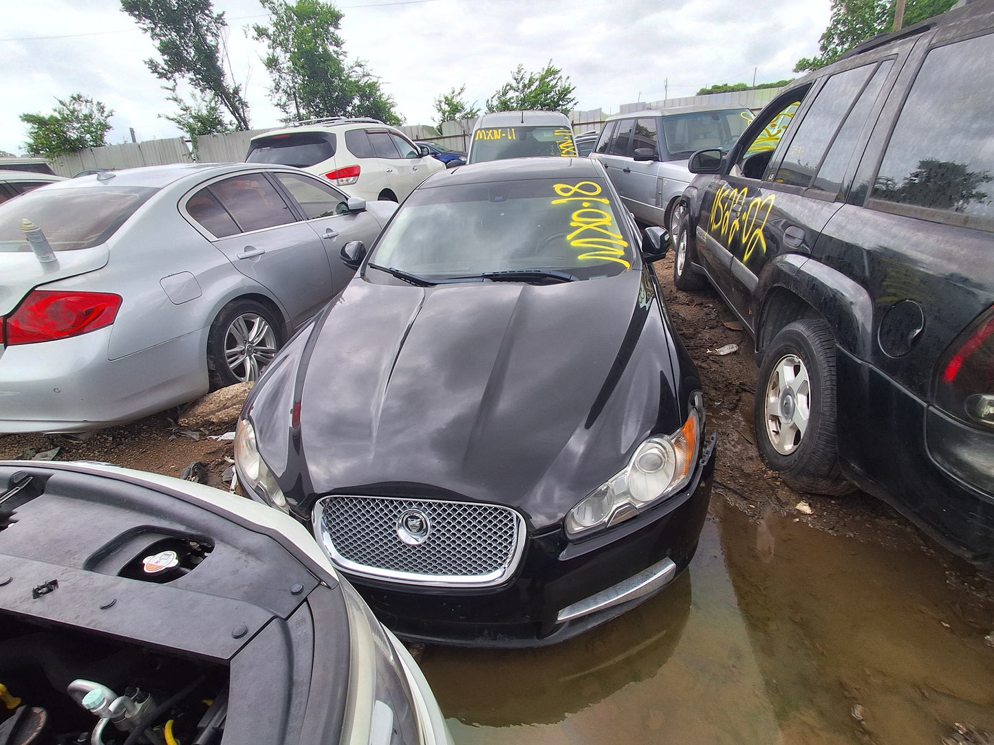2009-2011 JAGUAR XF - PARTING OUT-MXO-18 - Stock #:M19168