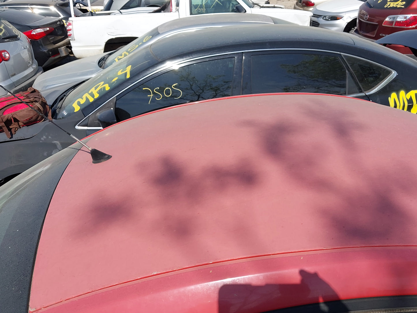 1998-2005 Volkswagen Beetle - Stock #: M18753