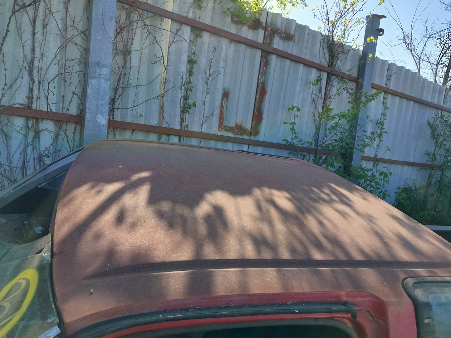 1991 Nissan D21 Truck - Stock #: M18750 - MR-20