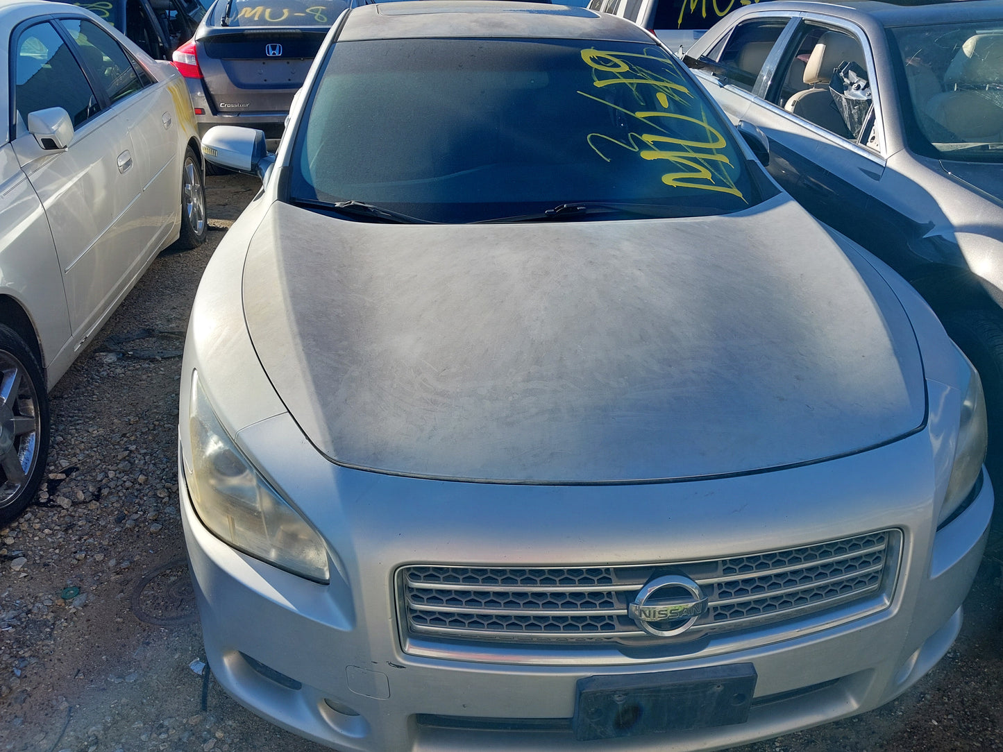 2010 NISSAN MAXIMA - STOCK #M18809