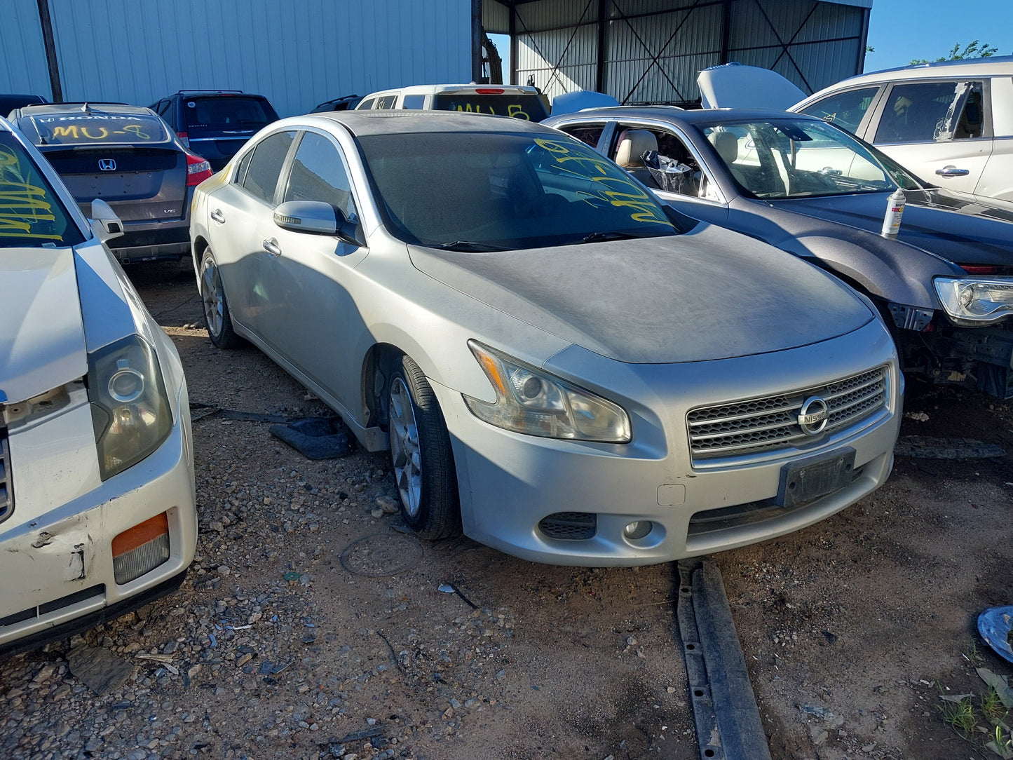 2010 NISSAN MAXIMA - STOCK #M18809