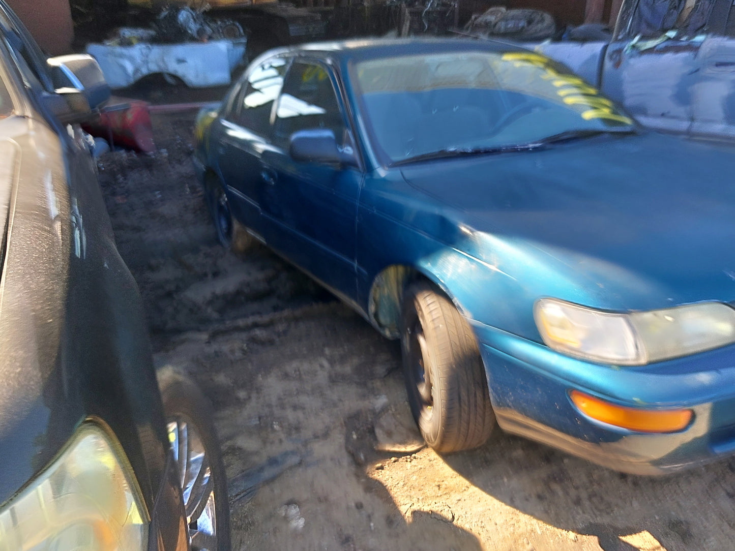 1993-1997 Toyota Corolla - Stock #: M18834