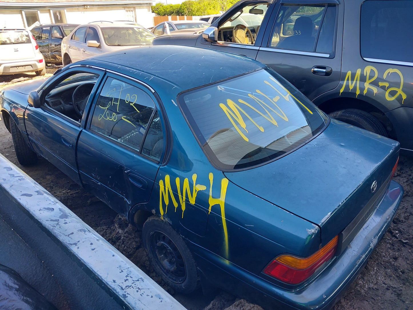 1993-1997 Toyota Corolla - Stock #: M18834