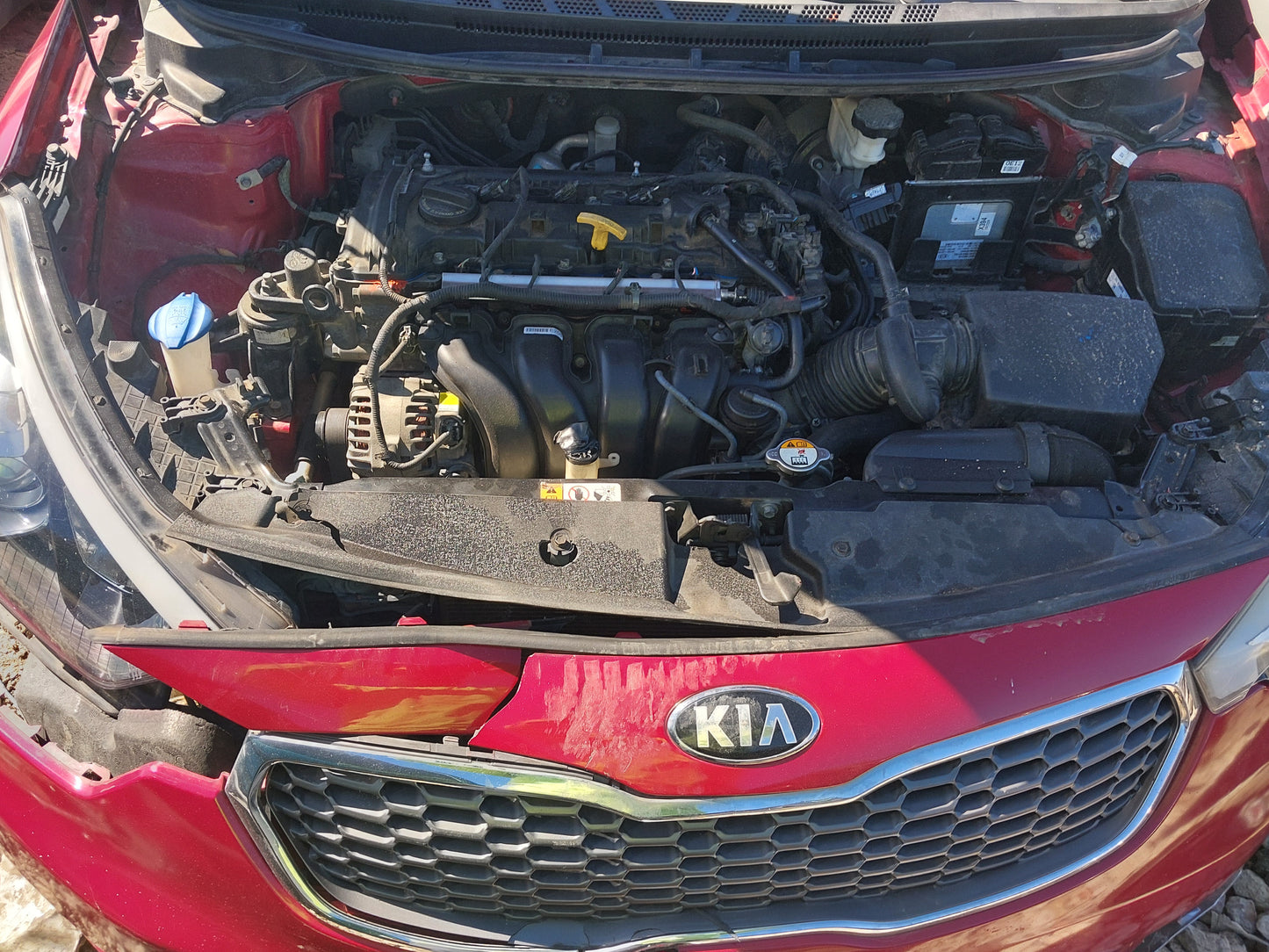 2016 KIA FORTE - STOCK #M18802