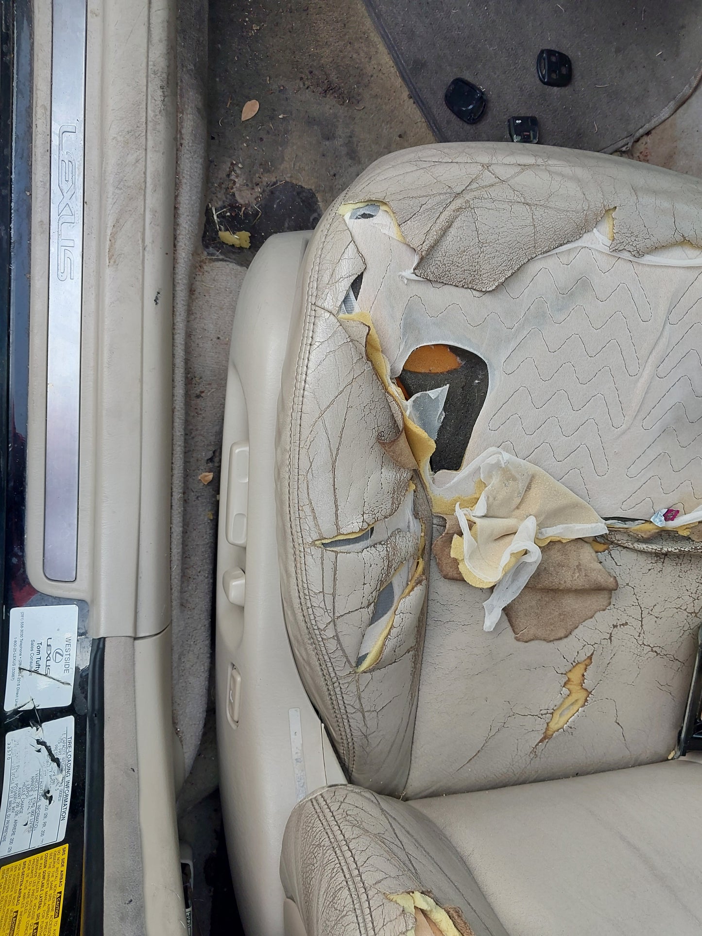 2002-2004 Lexus ES300 - Stock #: M18837
