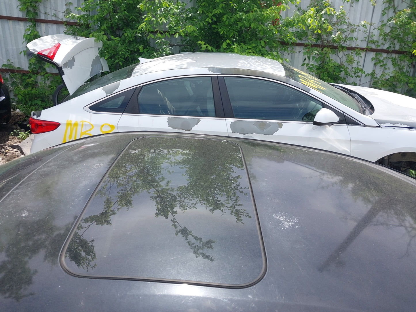 2012 NISSAN MAXIMA - STOCK #M18810