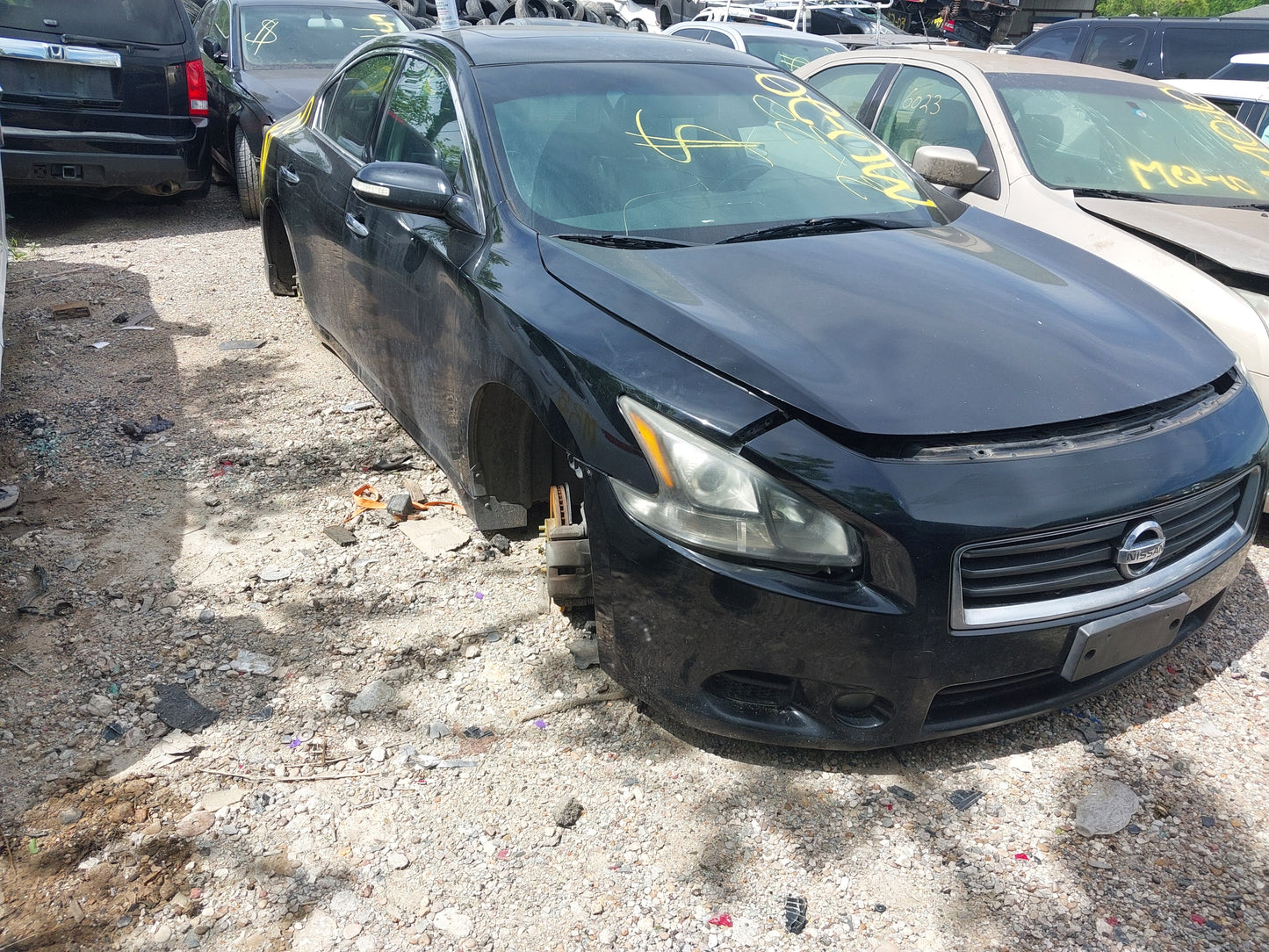 2012 NISSAN MAXIMA - STOCK #M18810