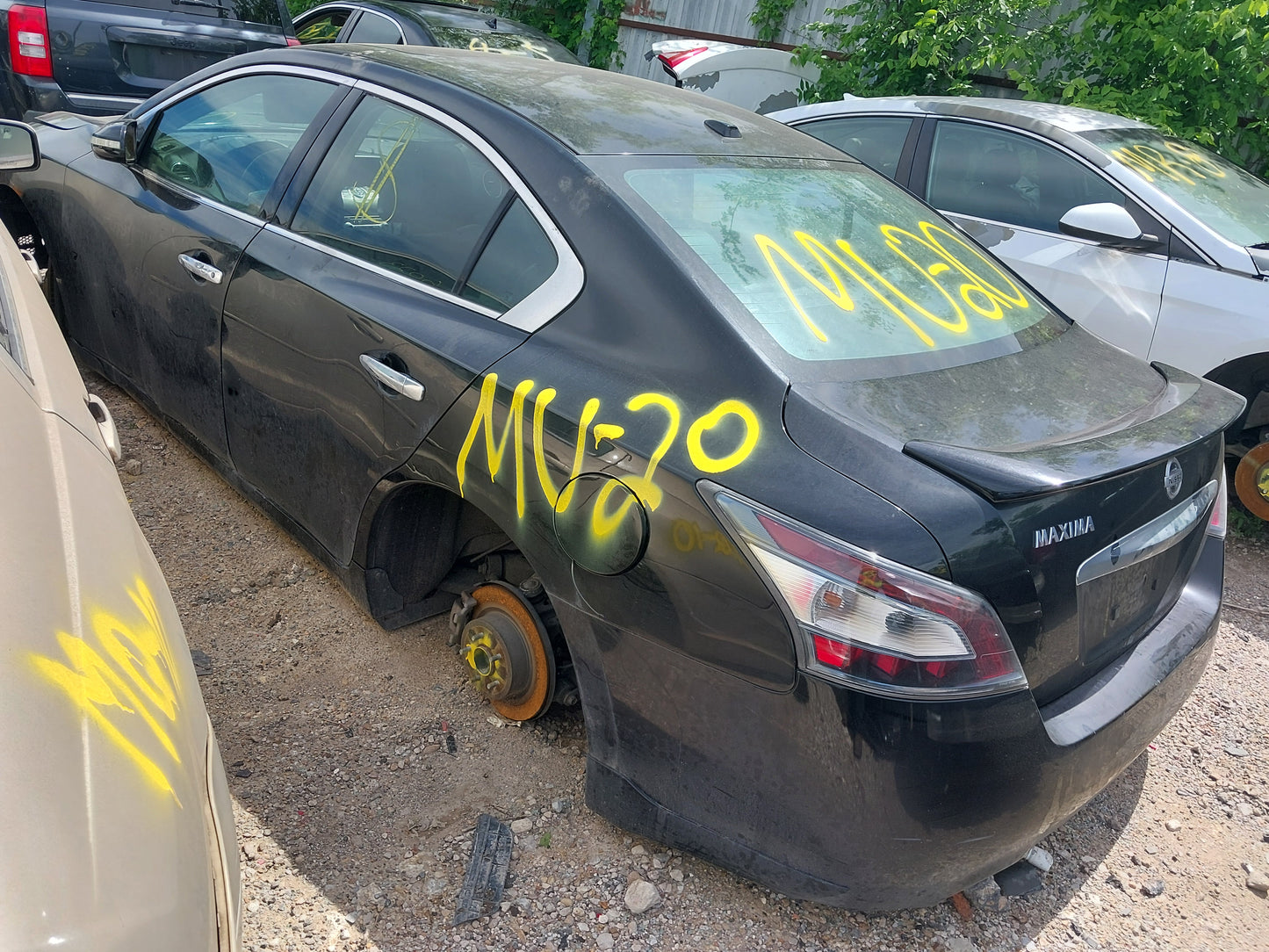 2012 NISSAN MAXIMA - STOCK #M18810