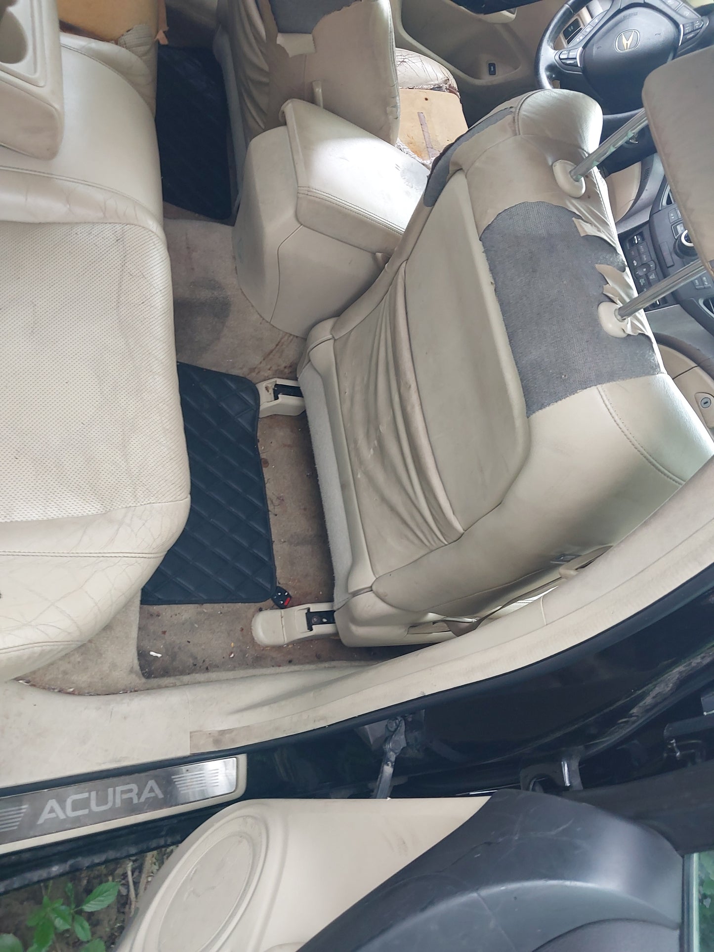 2009-2011 Acura TSX - Stock #: M18842