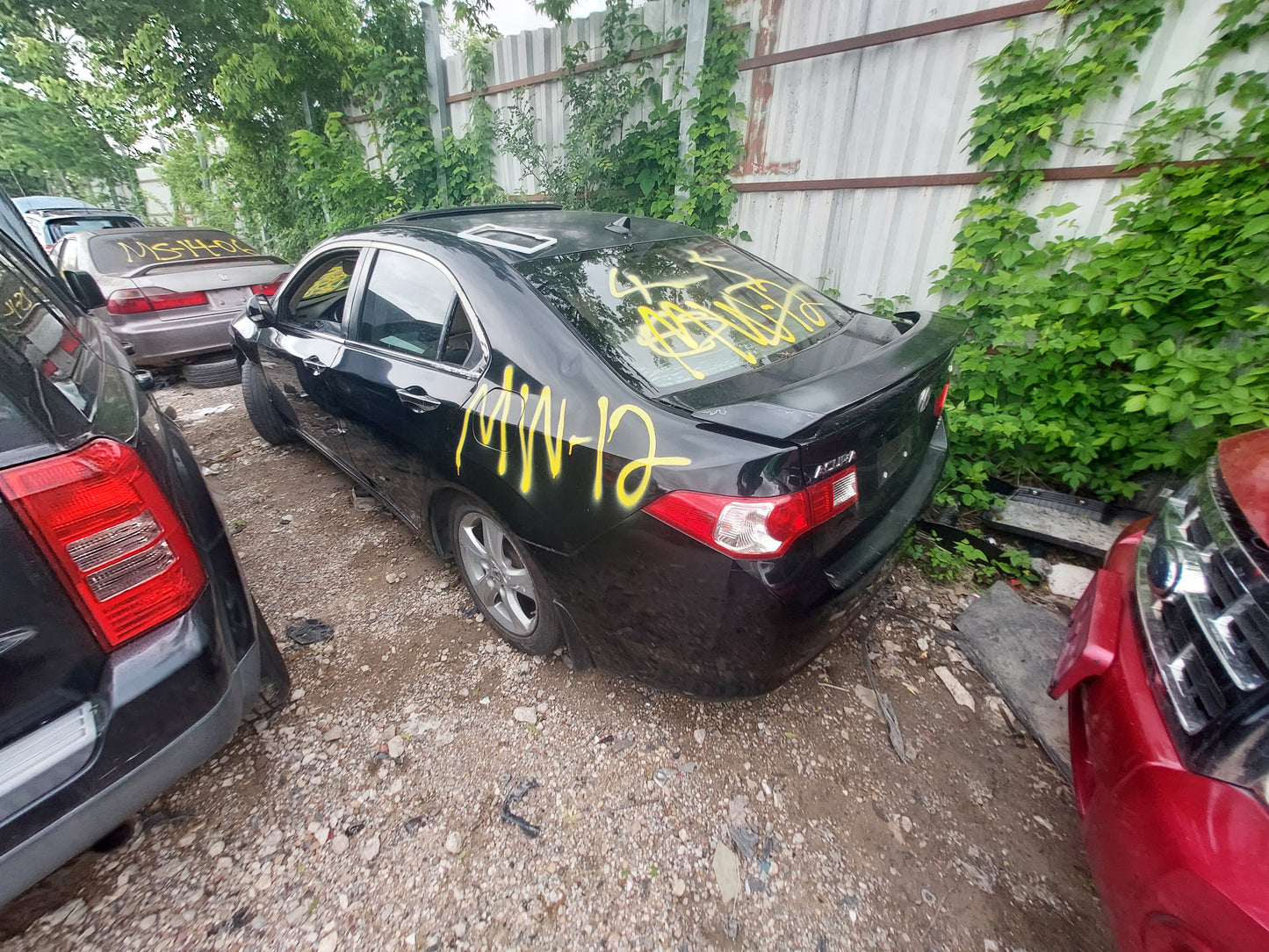 2009-2011 Acura TSX - Stock #: M18842