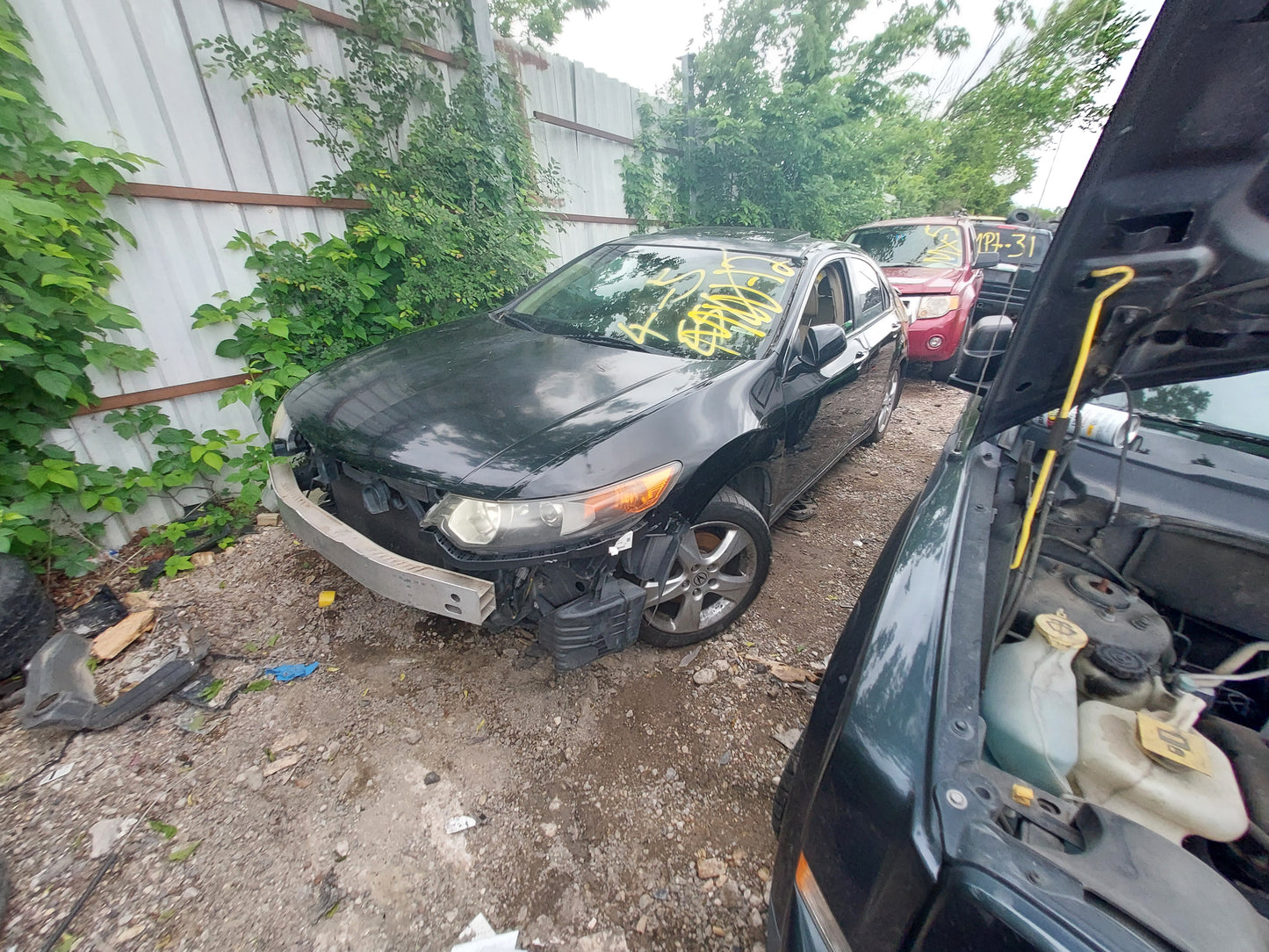 2009-2011 Acura TSX - Stock #: M18842